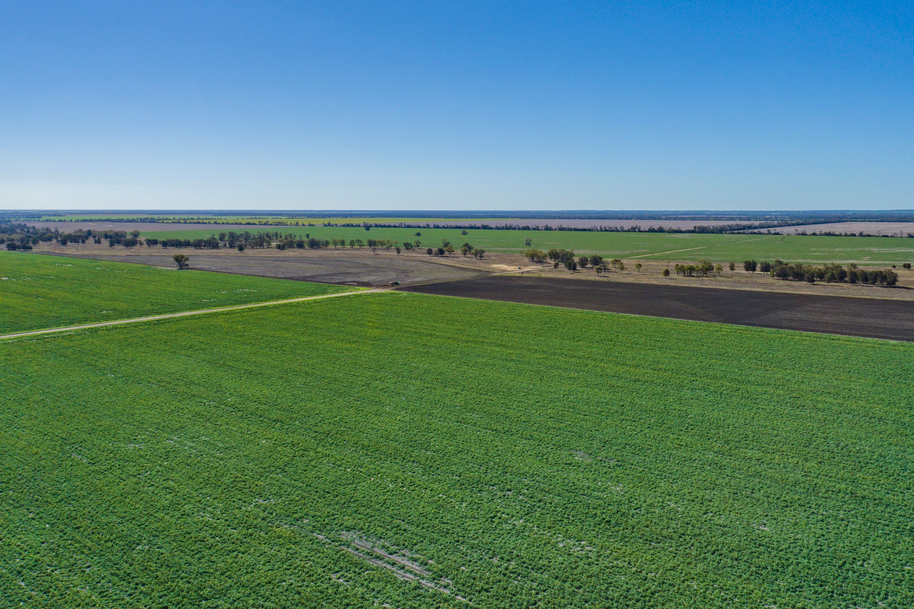 28994 Newell Highway, Tulloona, NSW 2400 Rural Cropping Property for