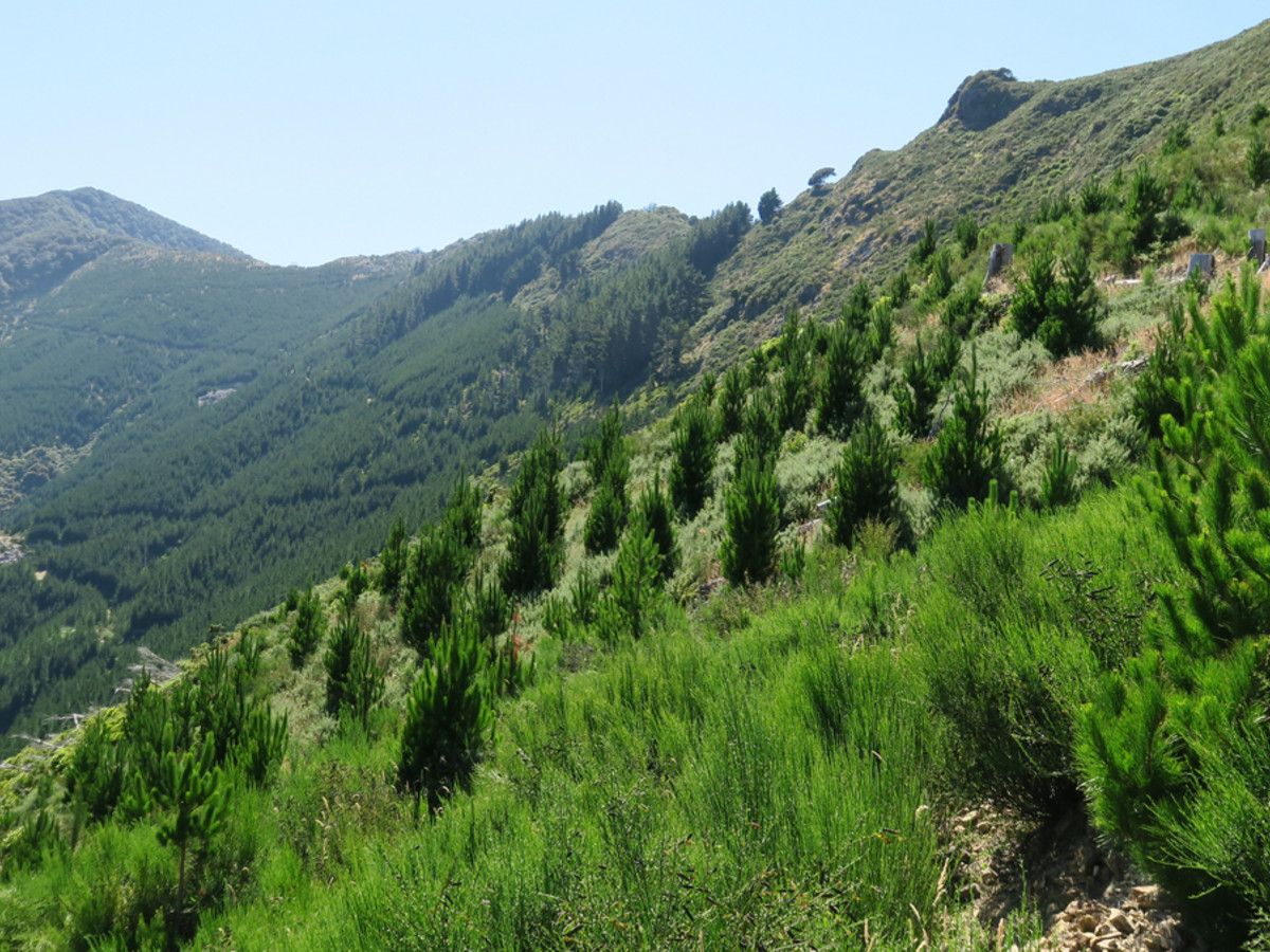 Havelock, Marlborough District