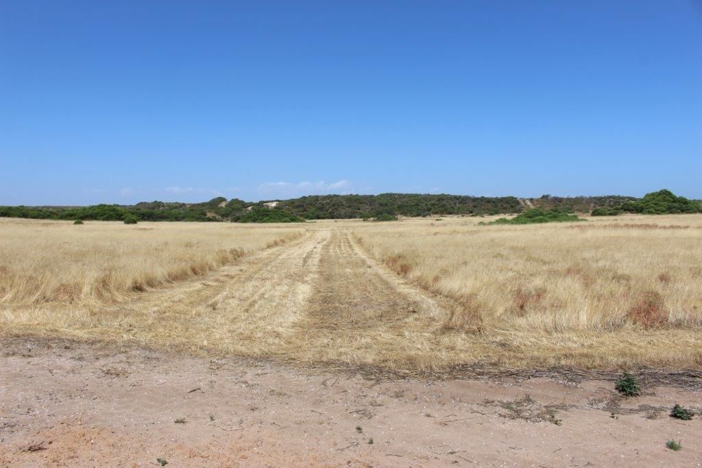 Lot 11 Hamersley Road, Mount Adams, WA 6525