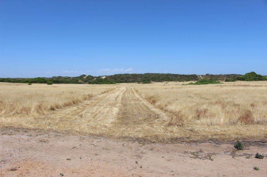 Lot 11 Hamersley Road, Mount Adams, WA 6525