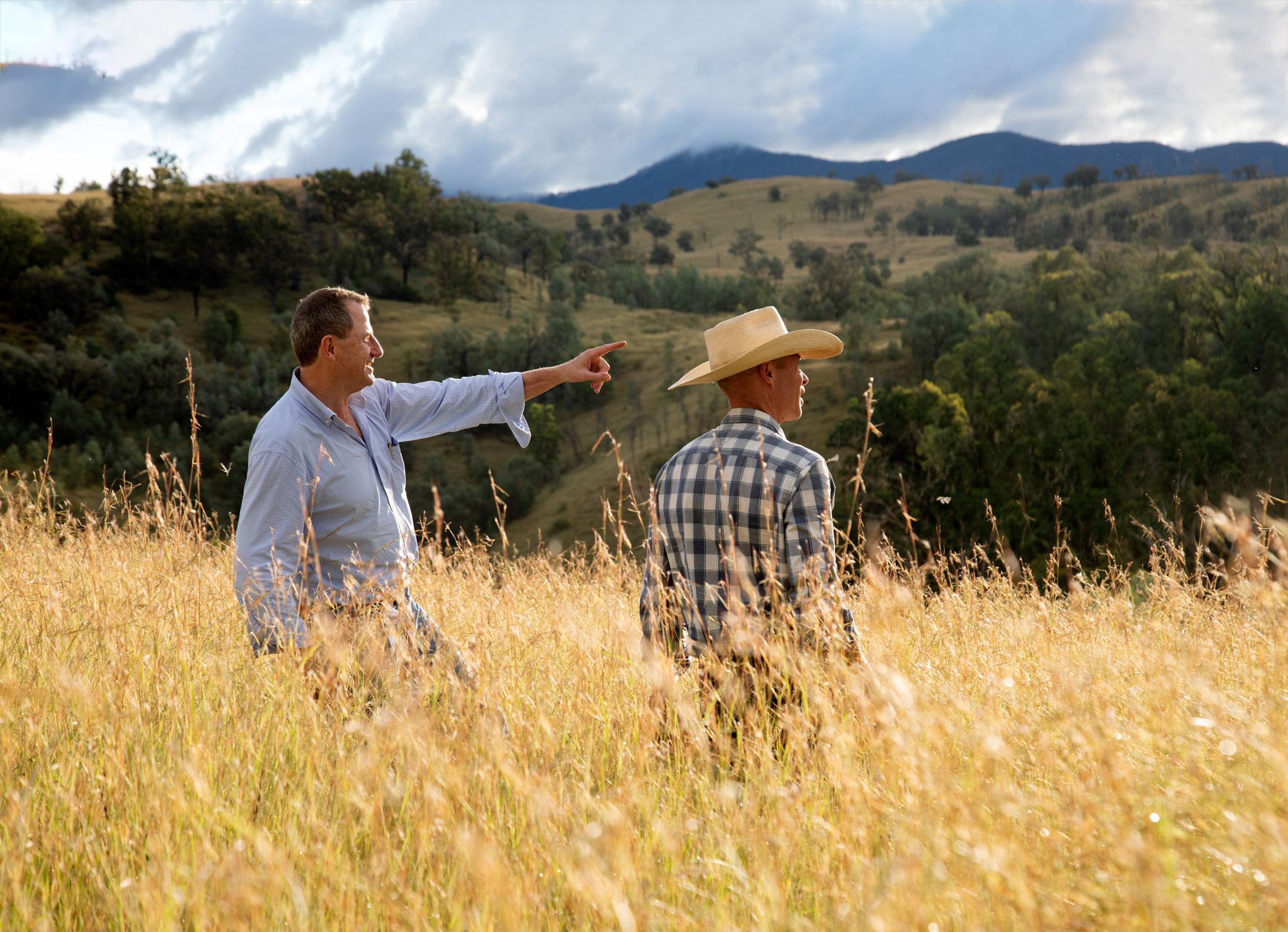 1128 Back Creek Road, HORTON VALLEY, NSW 2347