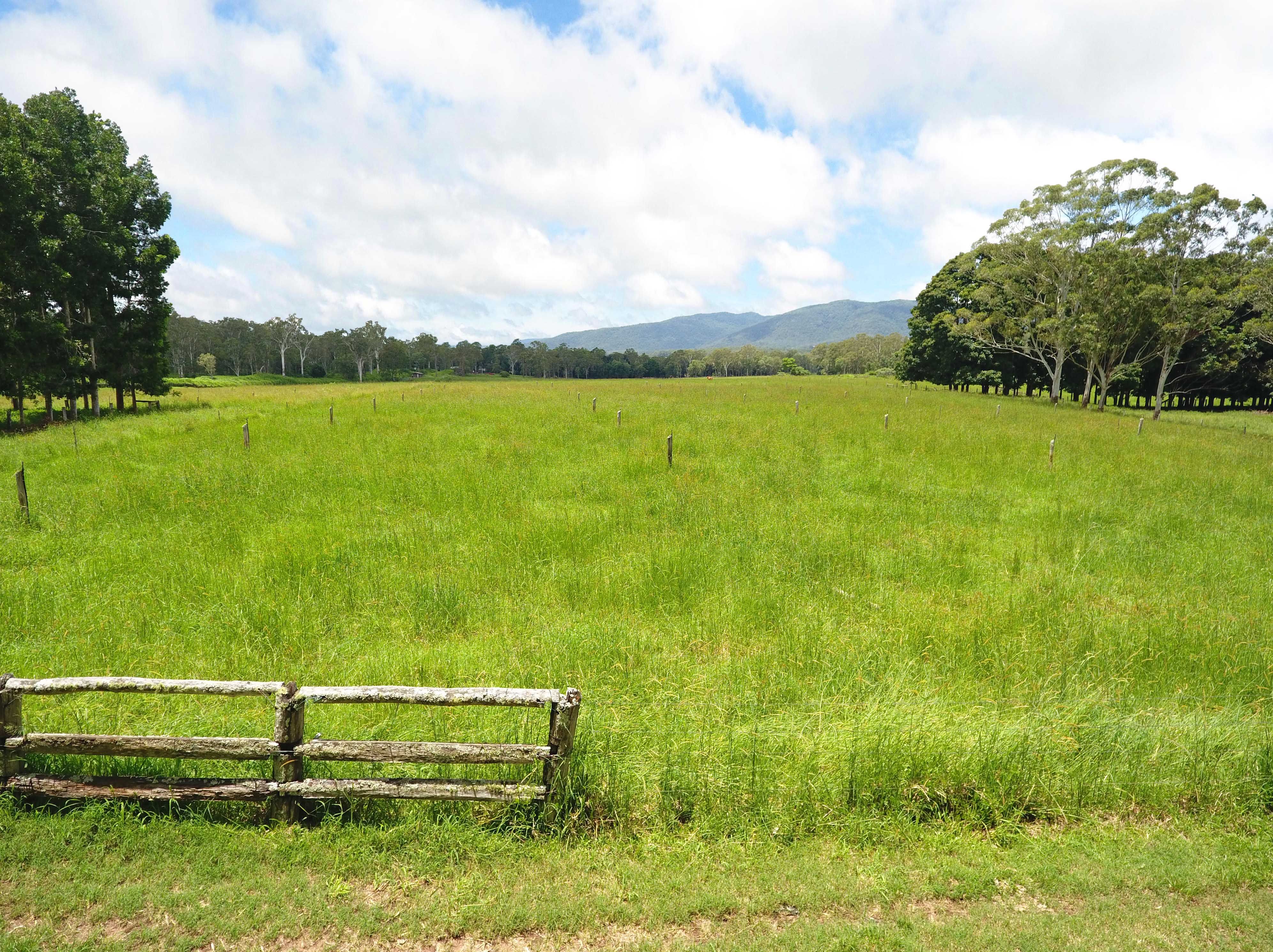 Atherton, QLD 4883 Rural Property for Sale Ray White Rural Atherton
