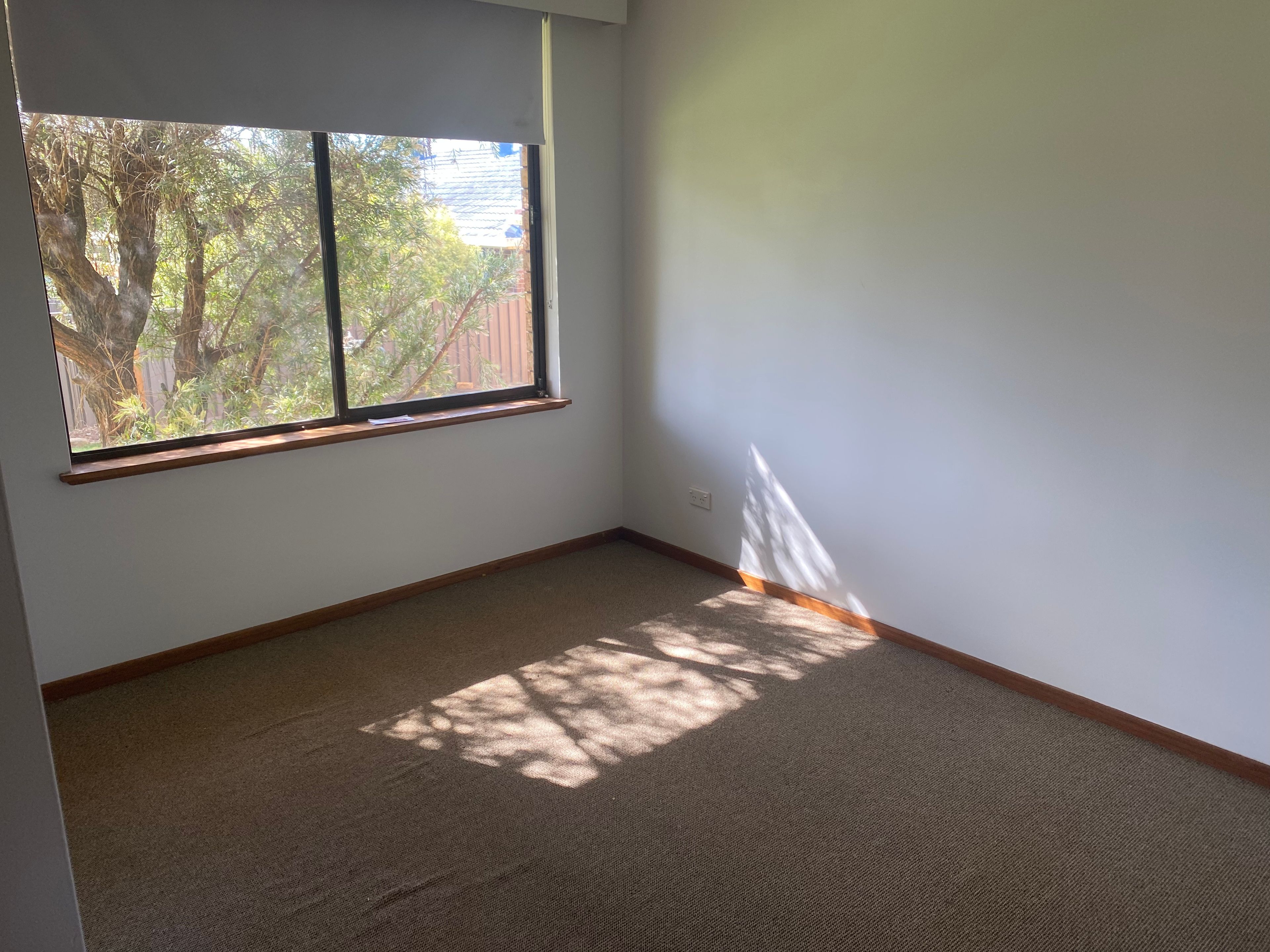 8 Tasman Road, Port Macquarie, NSW 2444