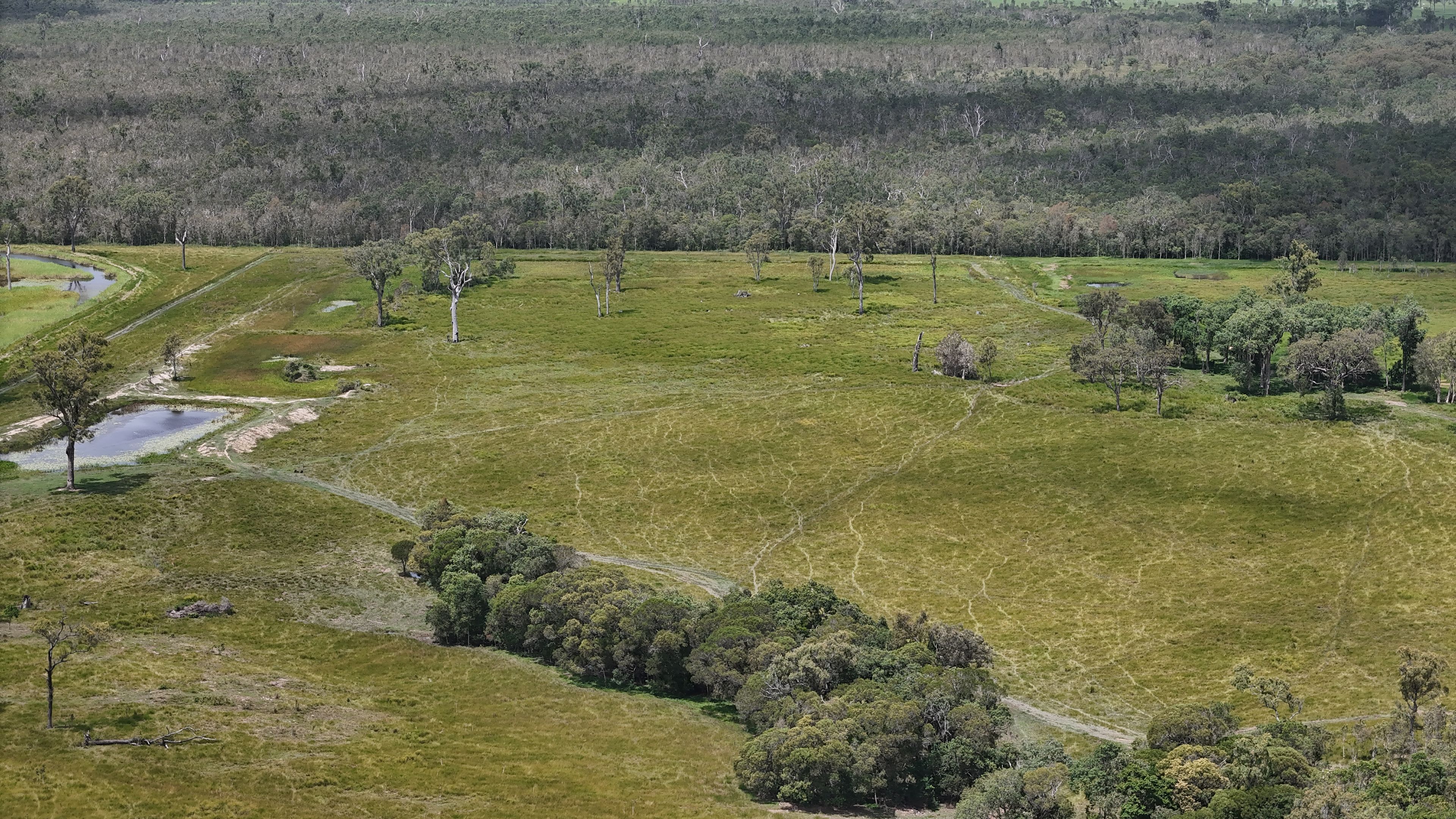 Lot 3 Marion Settlement Road — photo 12 of 15