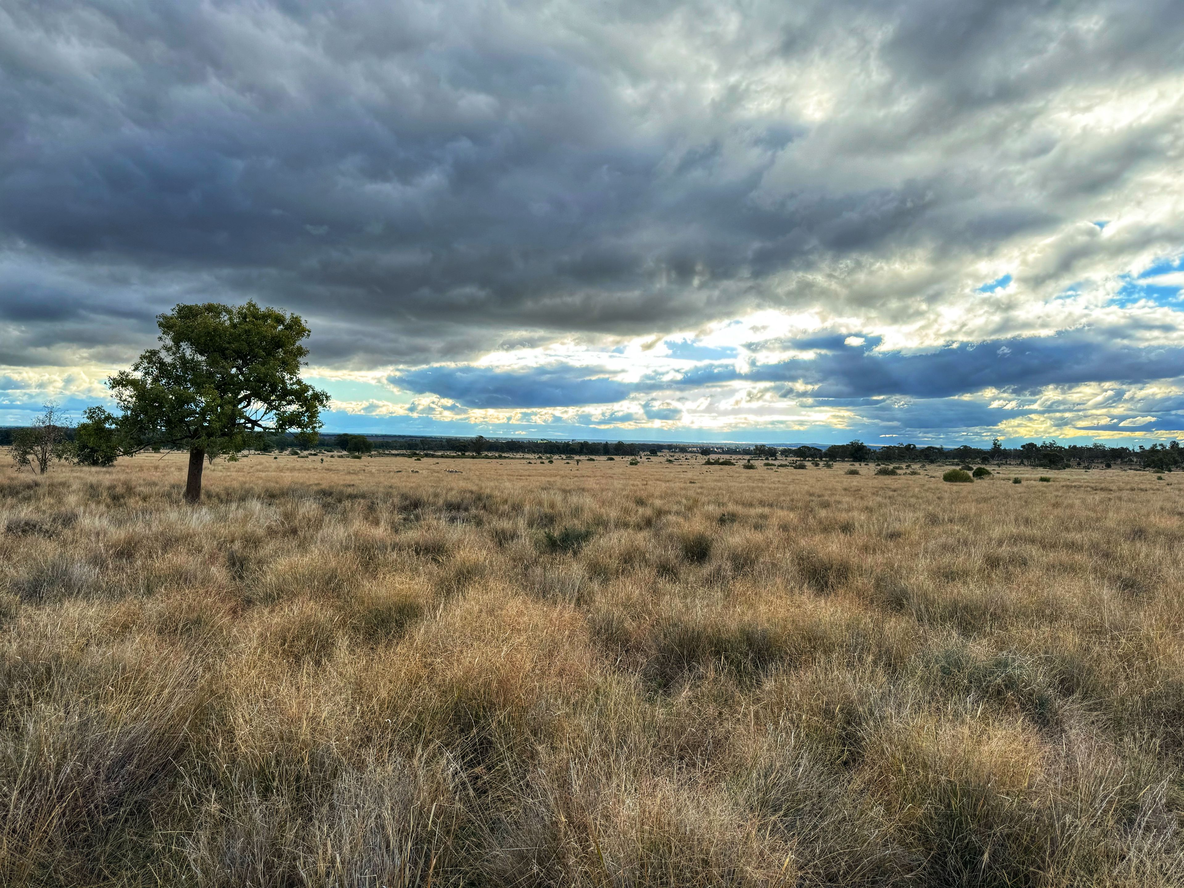 281 Gobondery Road, Tullamore, NSW 2874