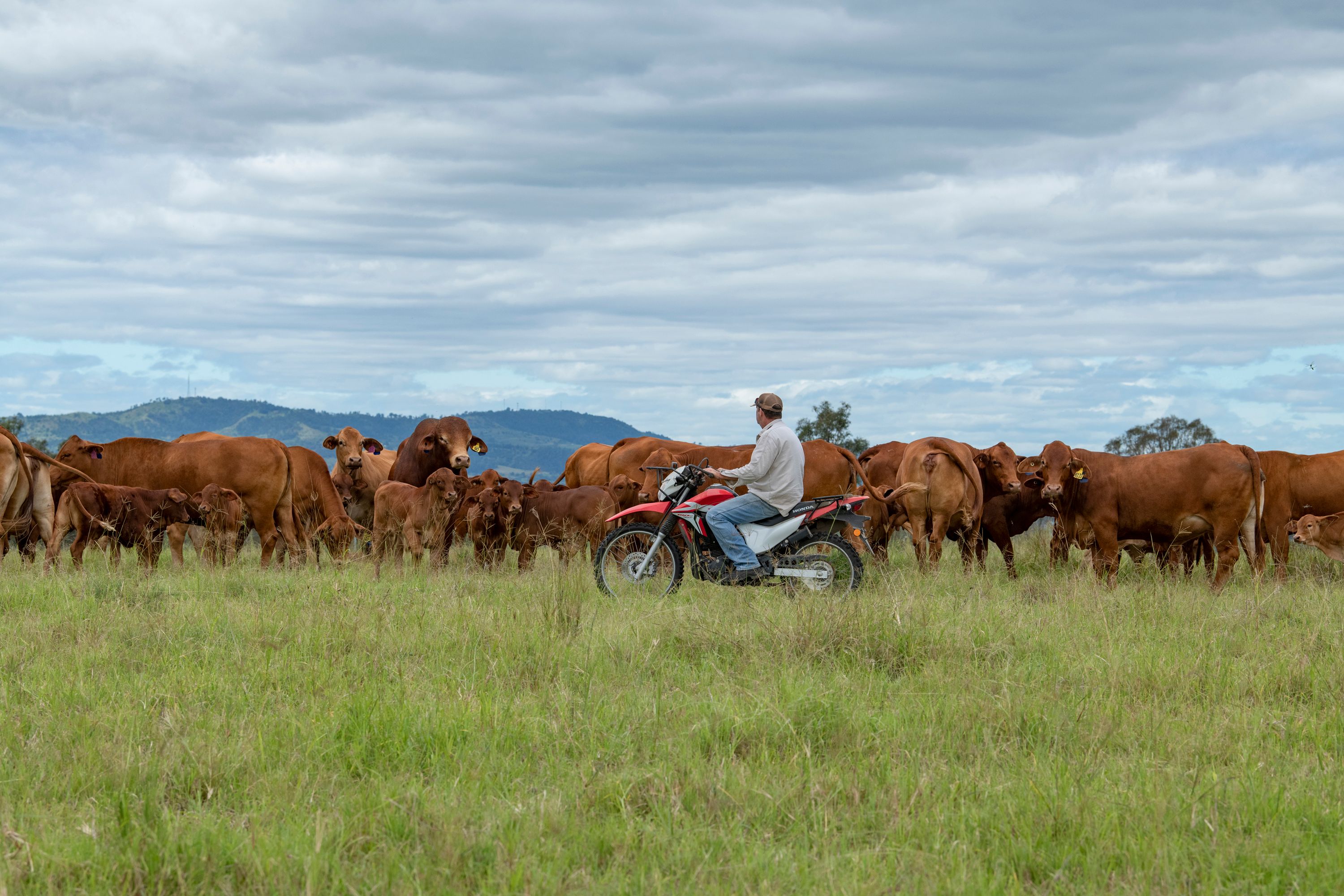 0 Brisbane Valley Highway, Wivenhoe Hill QLD 4311