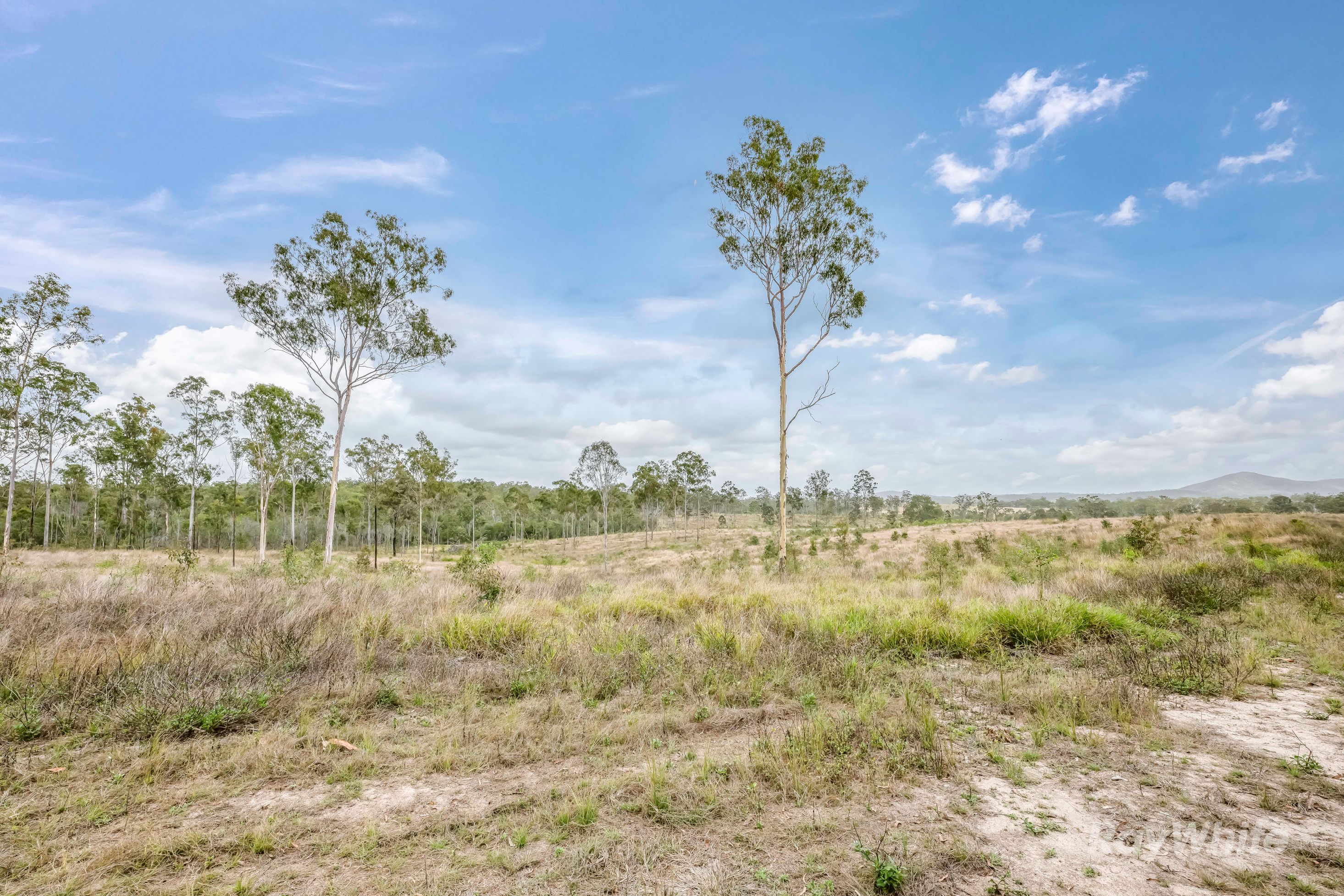 Lot 43 Moolyung Road — photo from Ray White Bundaberg
