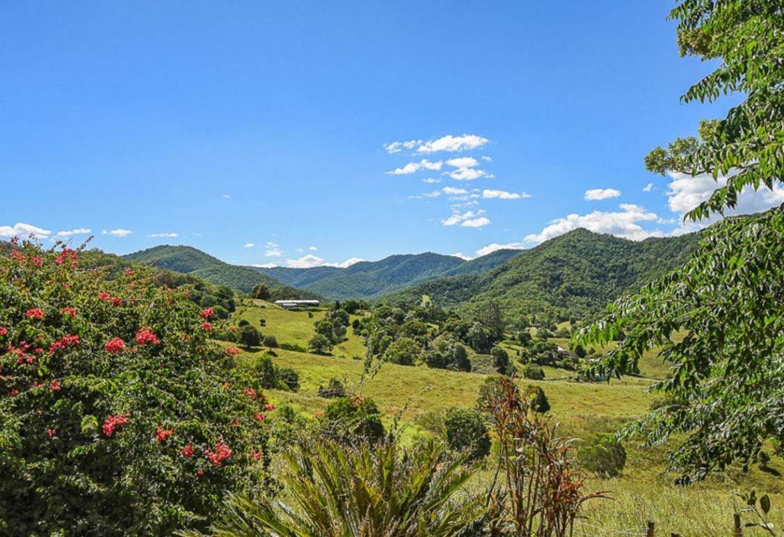 Cedar Creek, Cedar Creek, QLD 4520