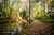153 Cashmere Road photo 28
