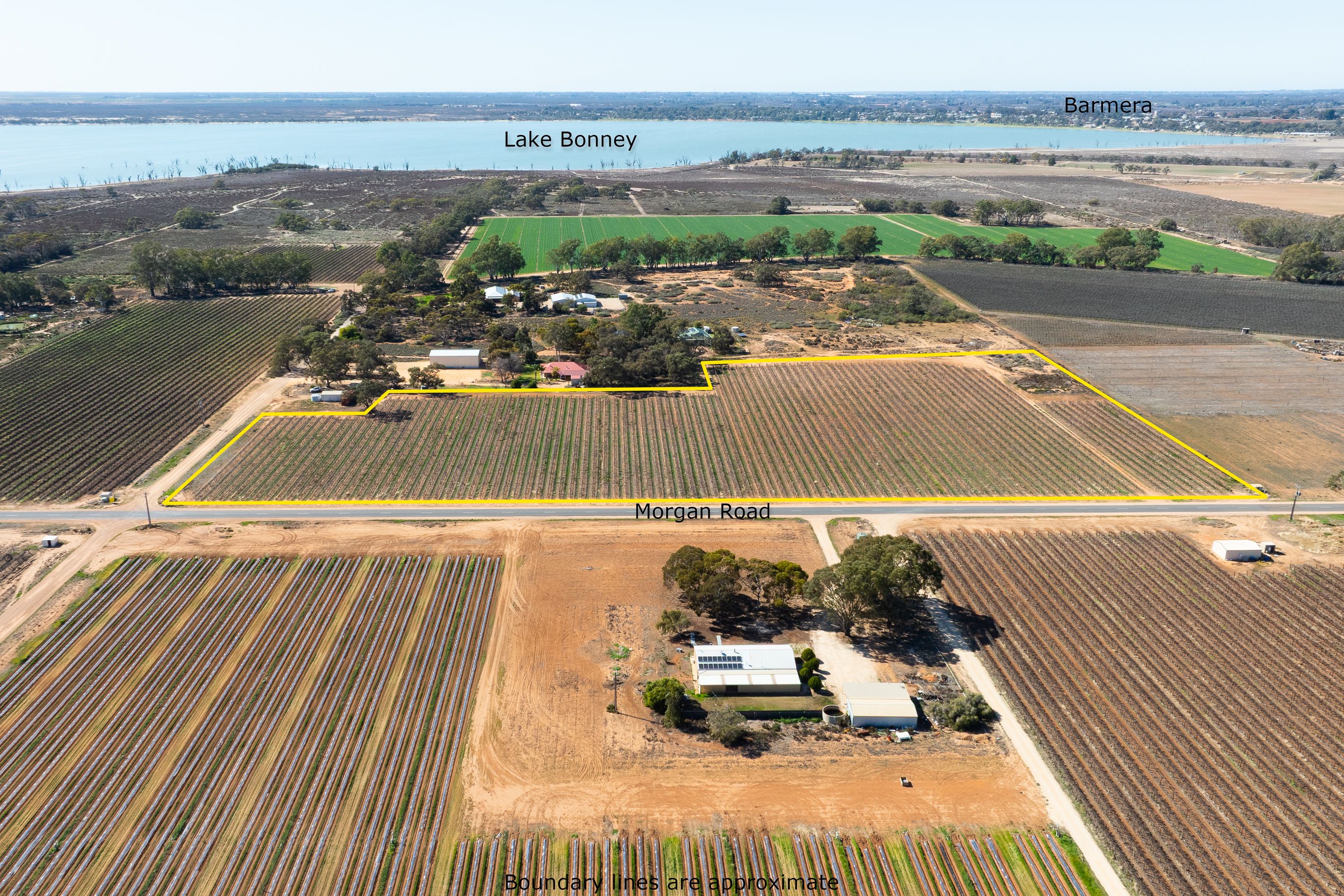 Lot 1 Morgan Road, Barmera, SA 5345