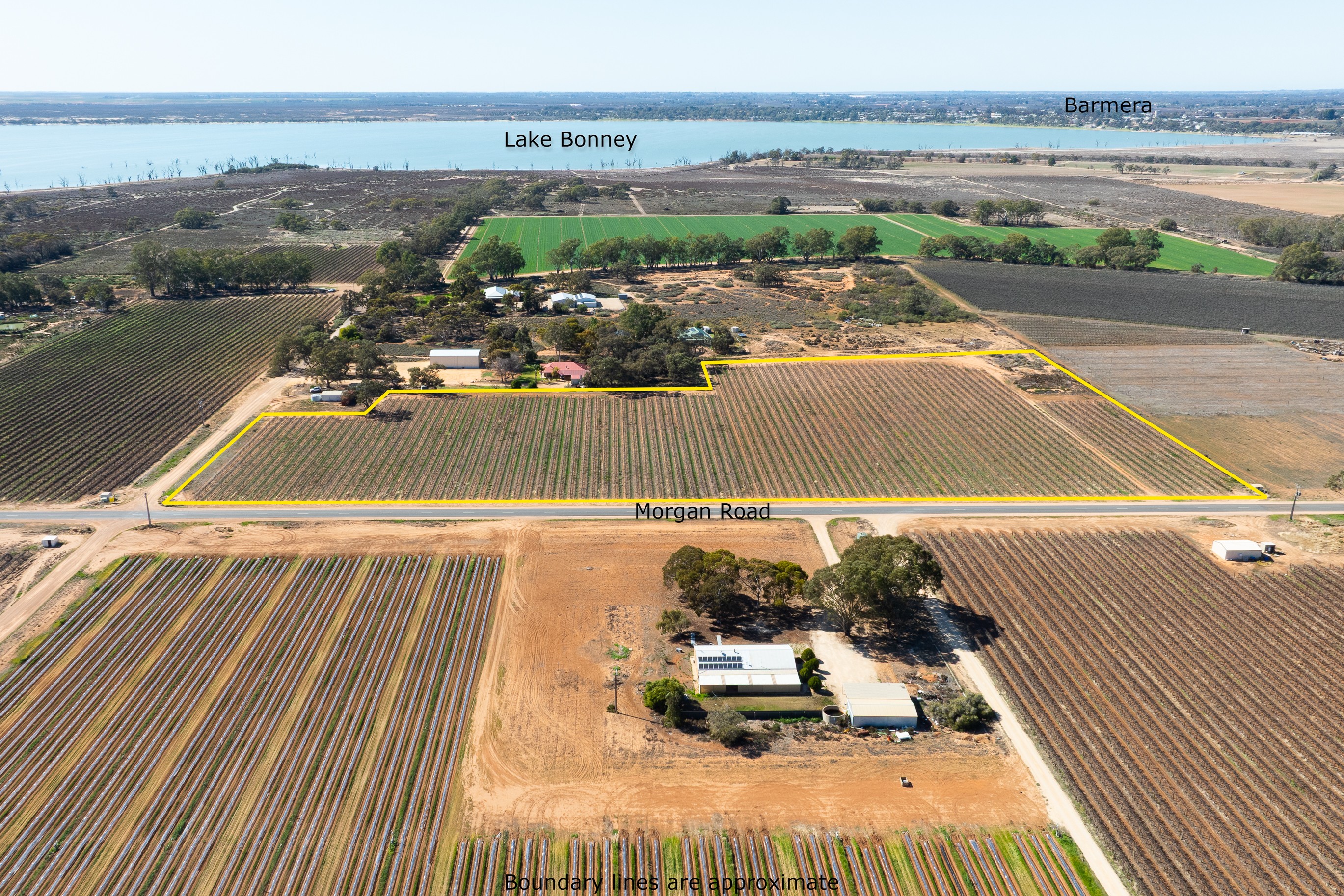 Lot 1 Morgan Road, Barmera, SA 5345