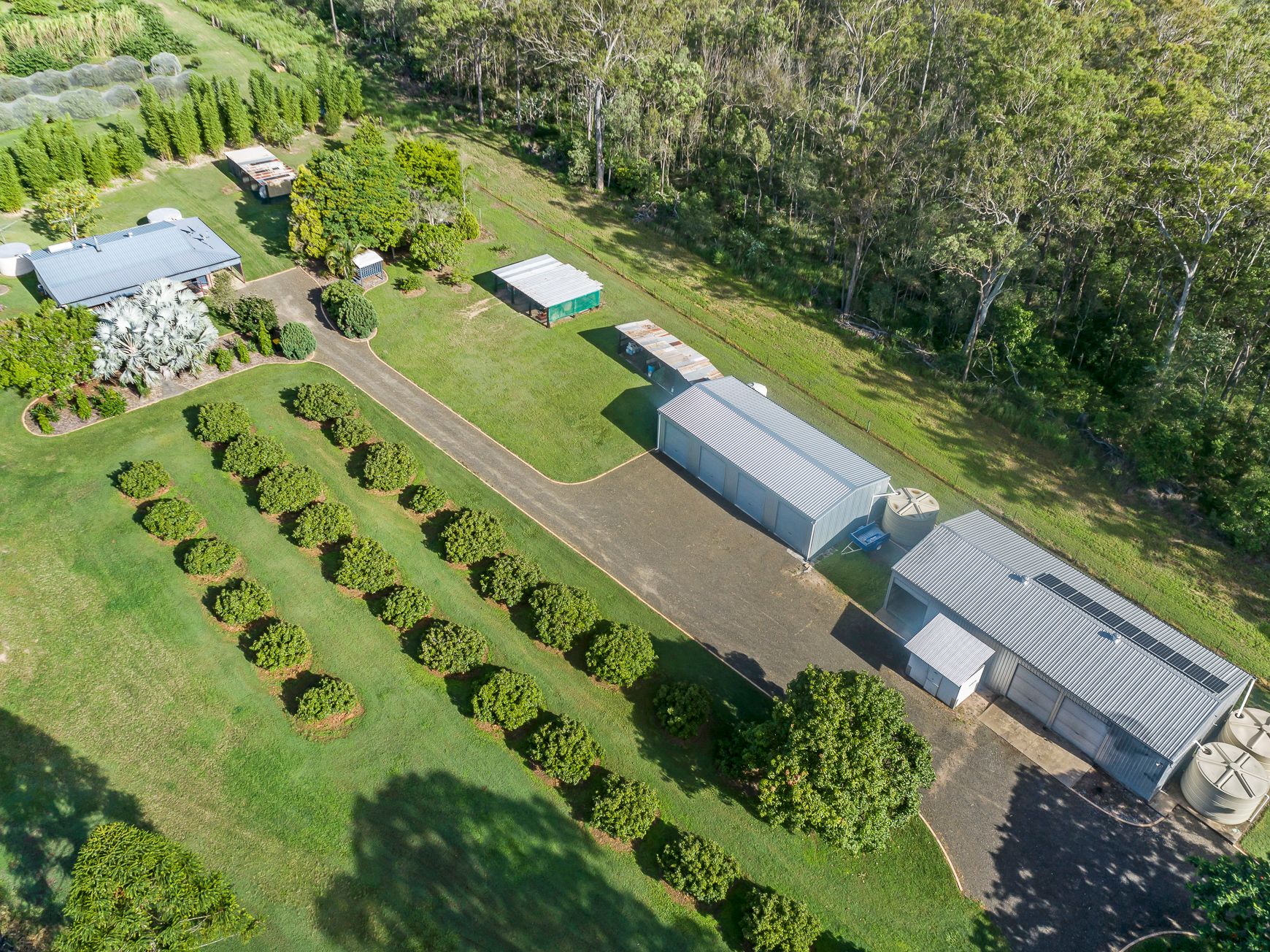 707 Birthamba Road, South Kolan, QLD 4670 Acreage/SemiRural for Sale