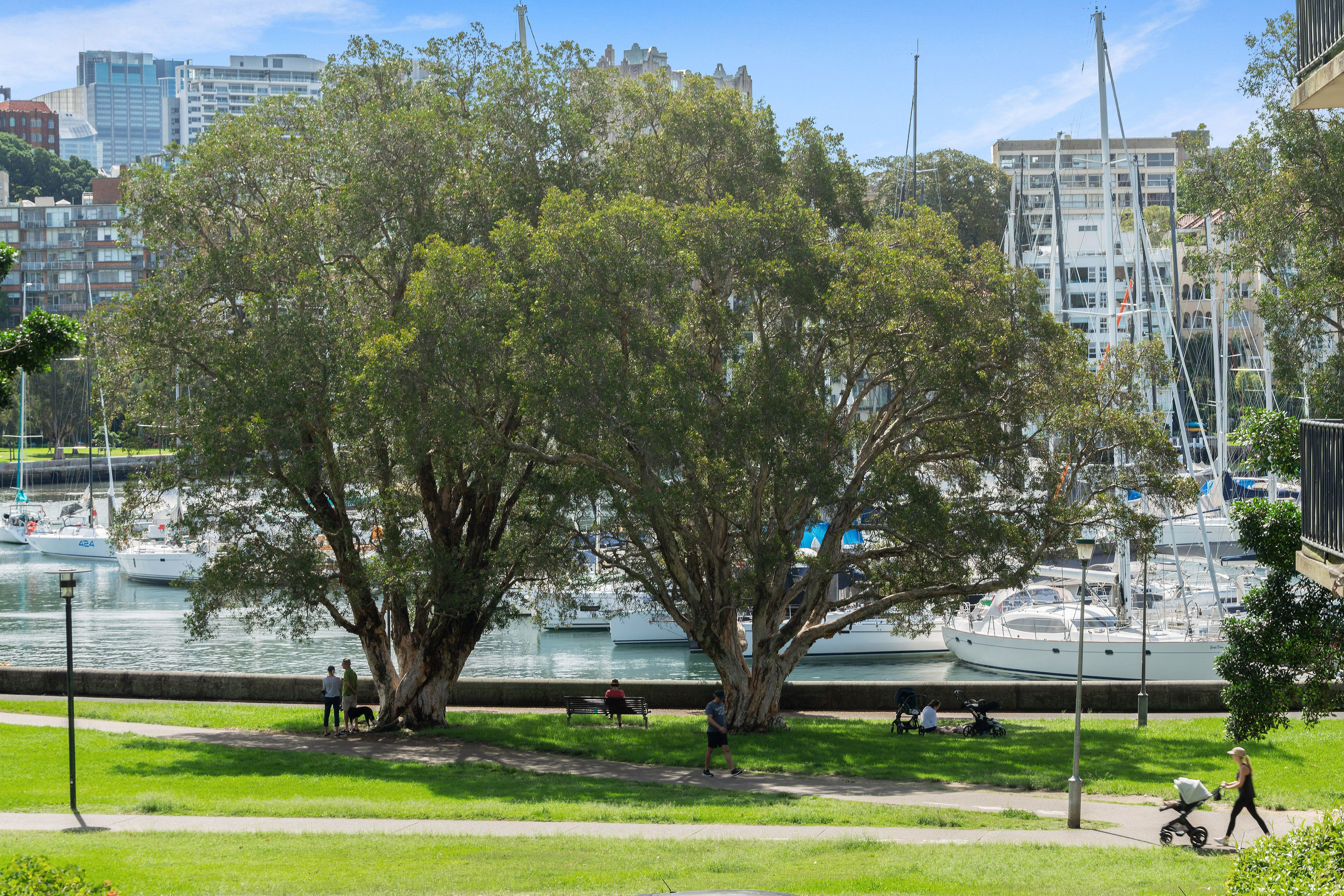 31/42 New Beach Road, Darling Point, NSW 2027