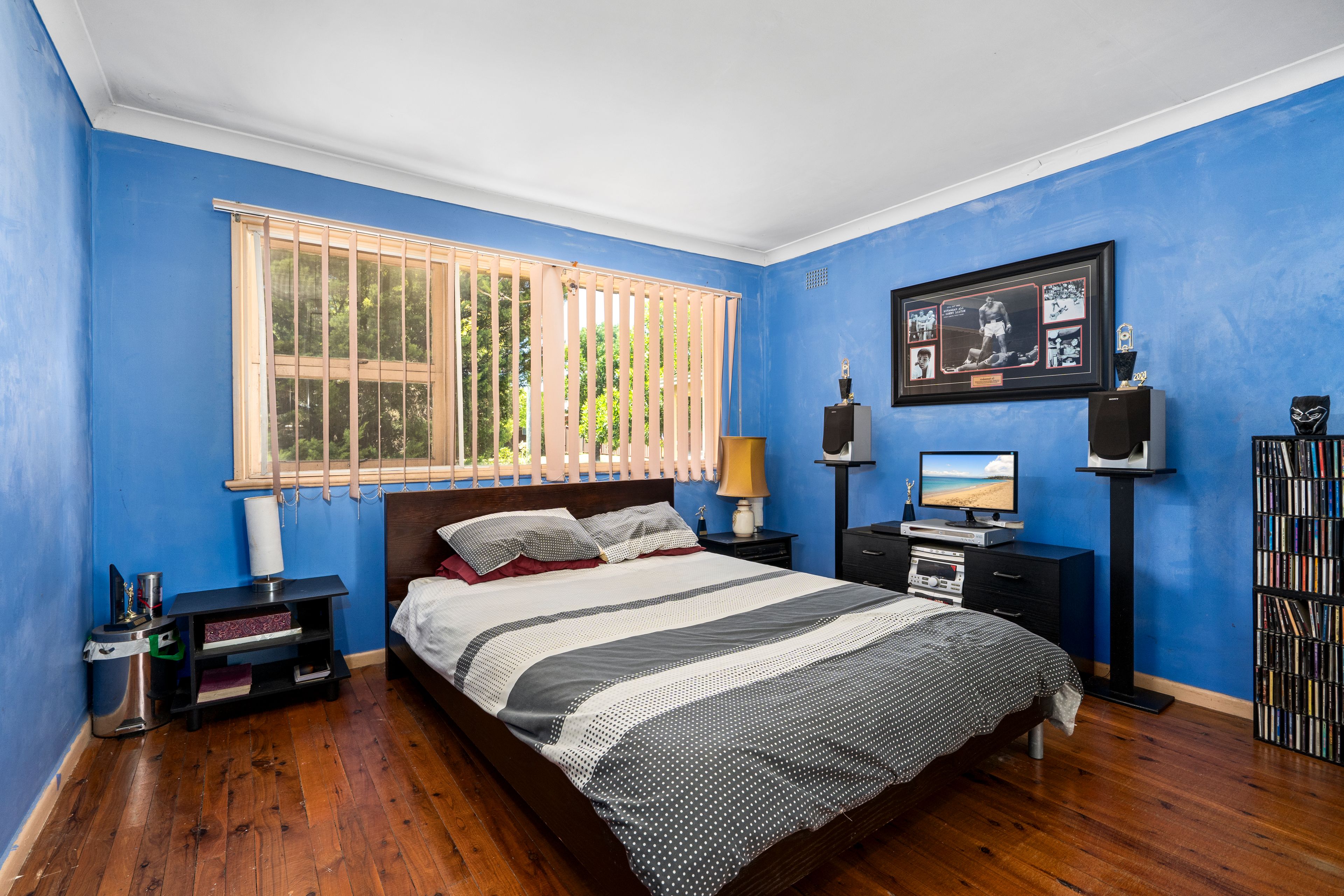 3 Wilfred Street, Macquarie Fields, NSW 2564