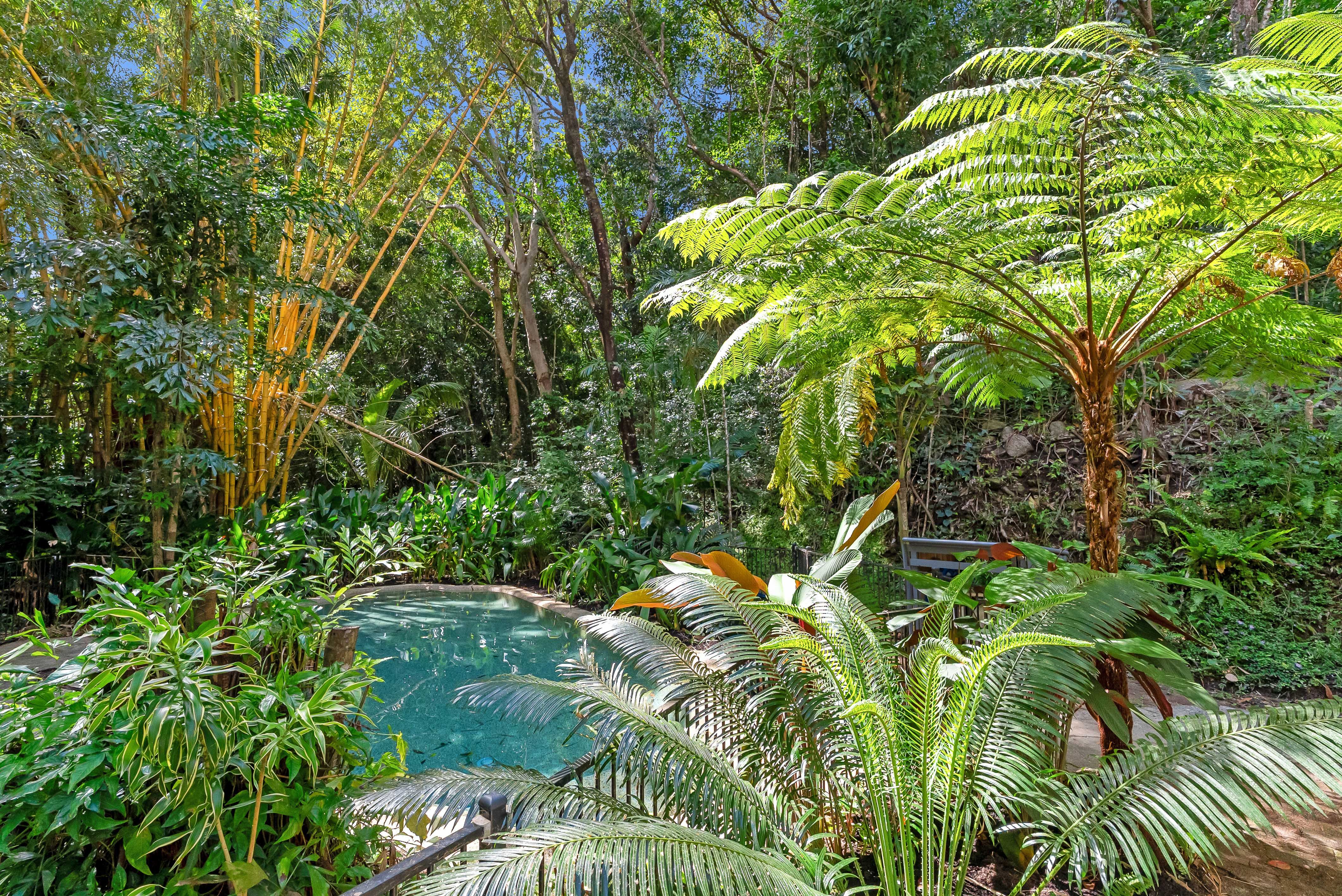 1304 Pine Creek Road, East Trinity, QLD 4871