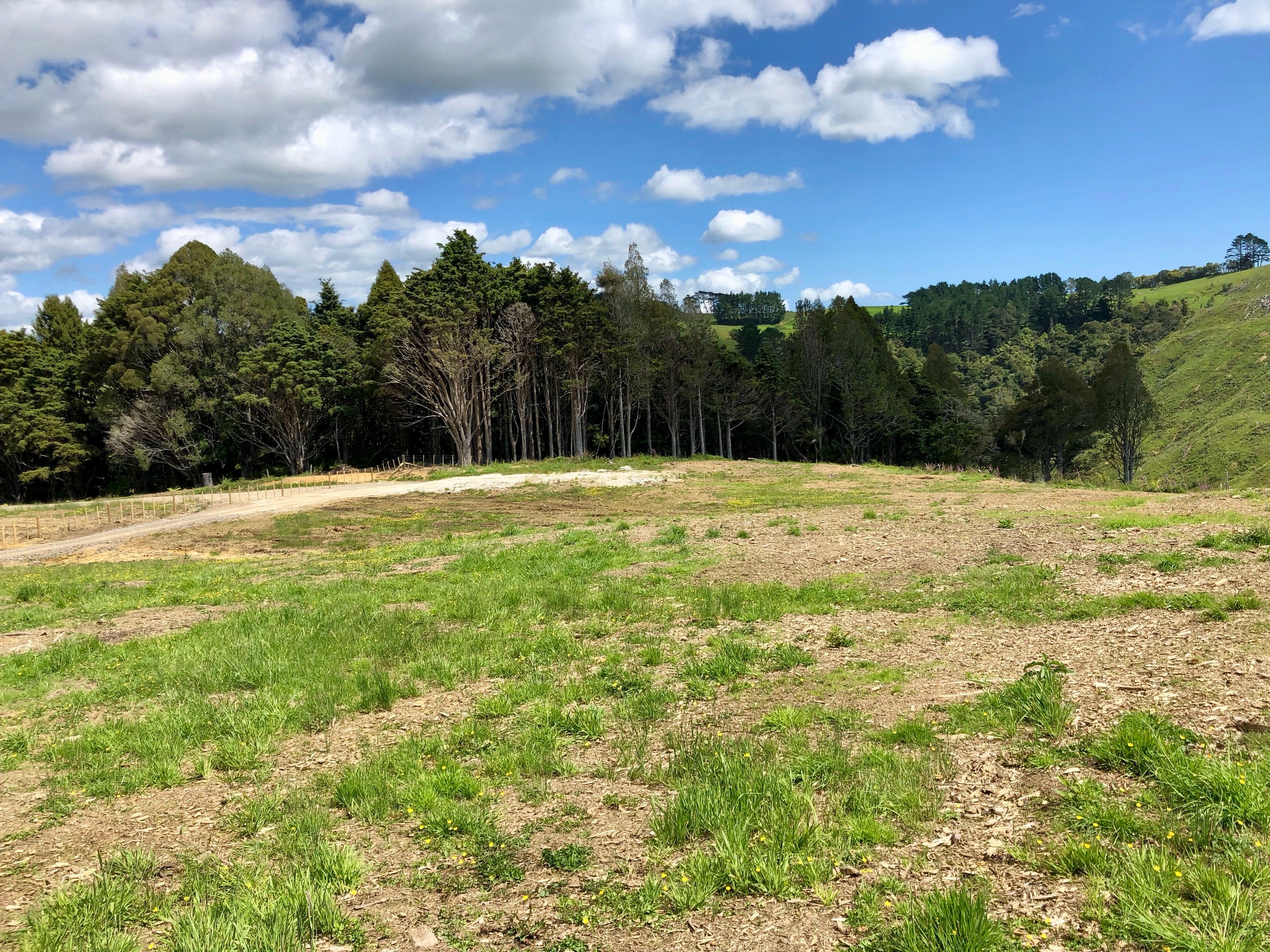 Lot 1 Dill Road, Kaipara Flats, Rodney