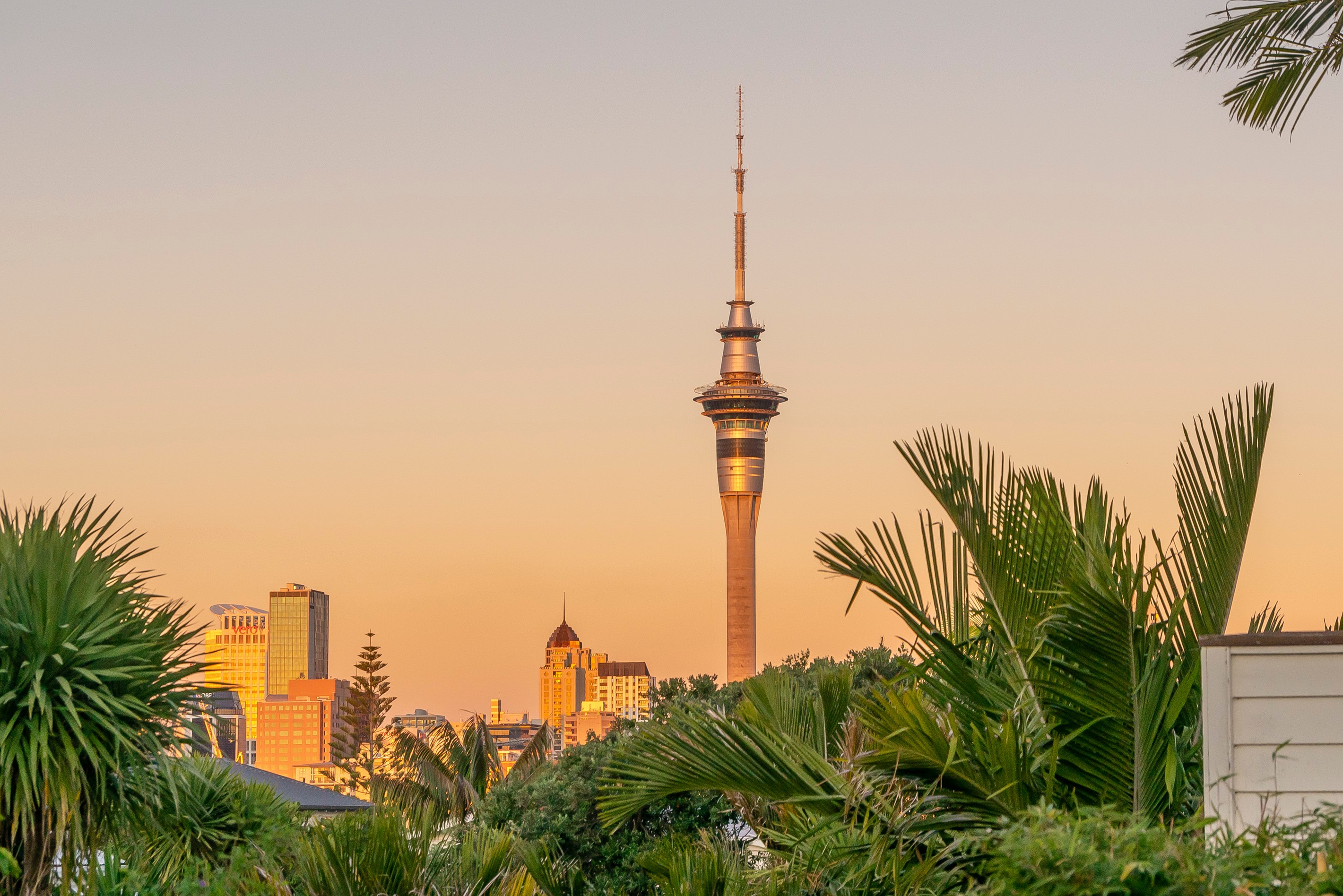 11 Dublin Street, St Marys Bay, Auckland City