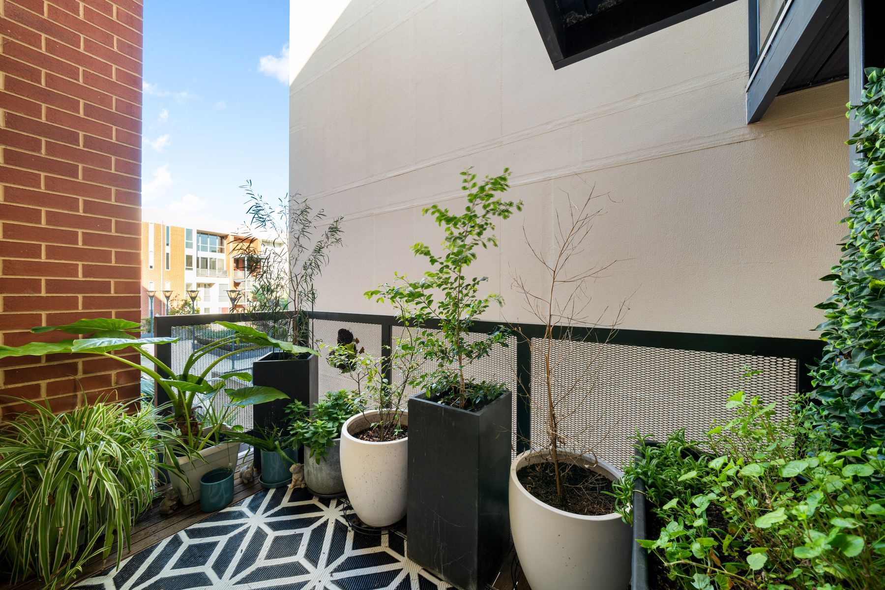 2/237 Wakefield Street — photo 24 of 28