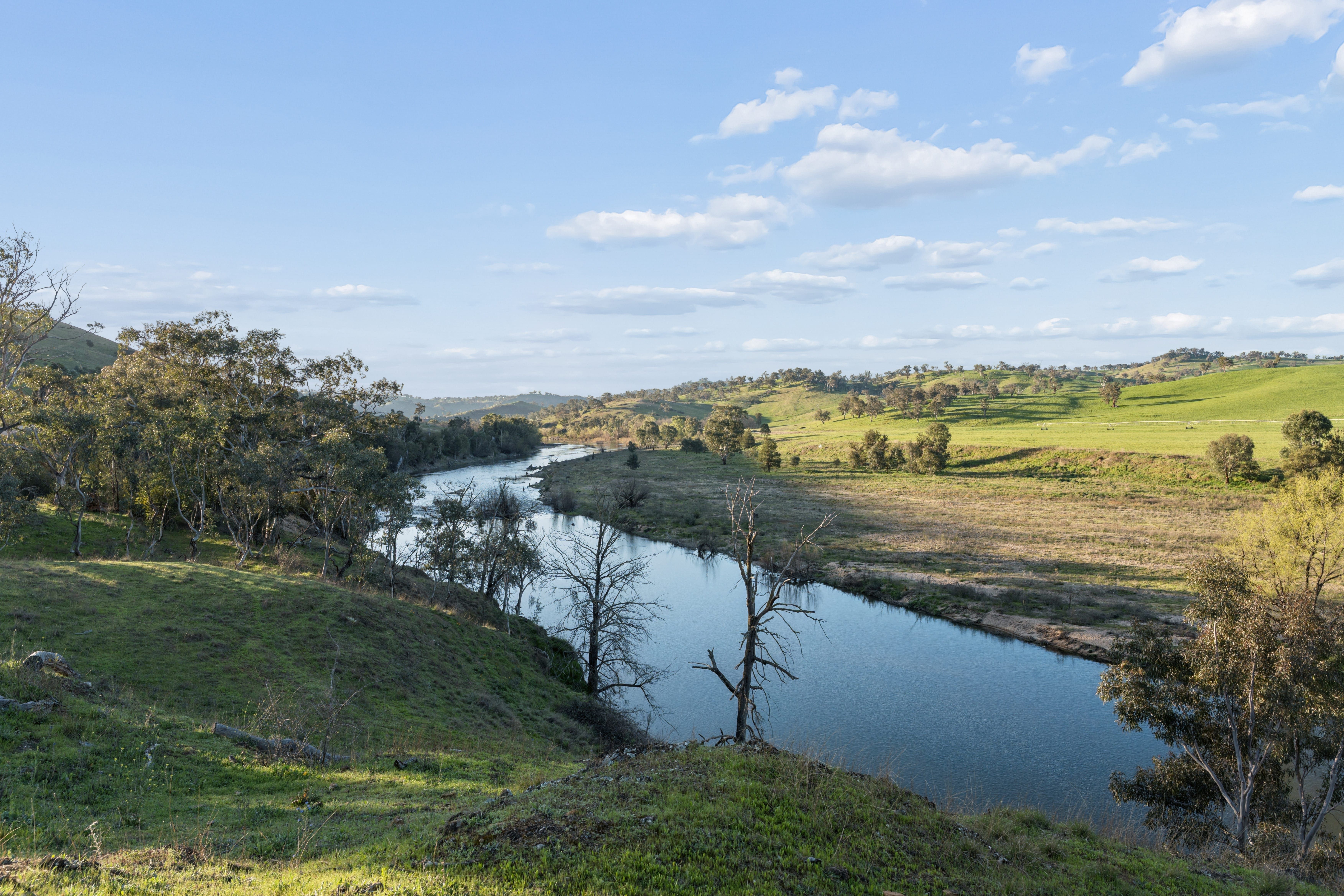 "Yarrow", 426 Cavan Road — photo from Ray White Rural Yass