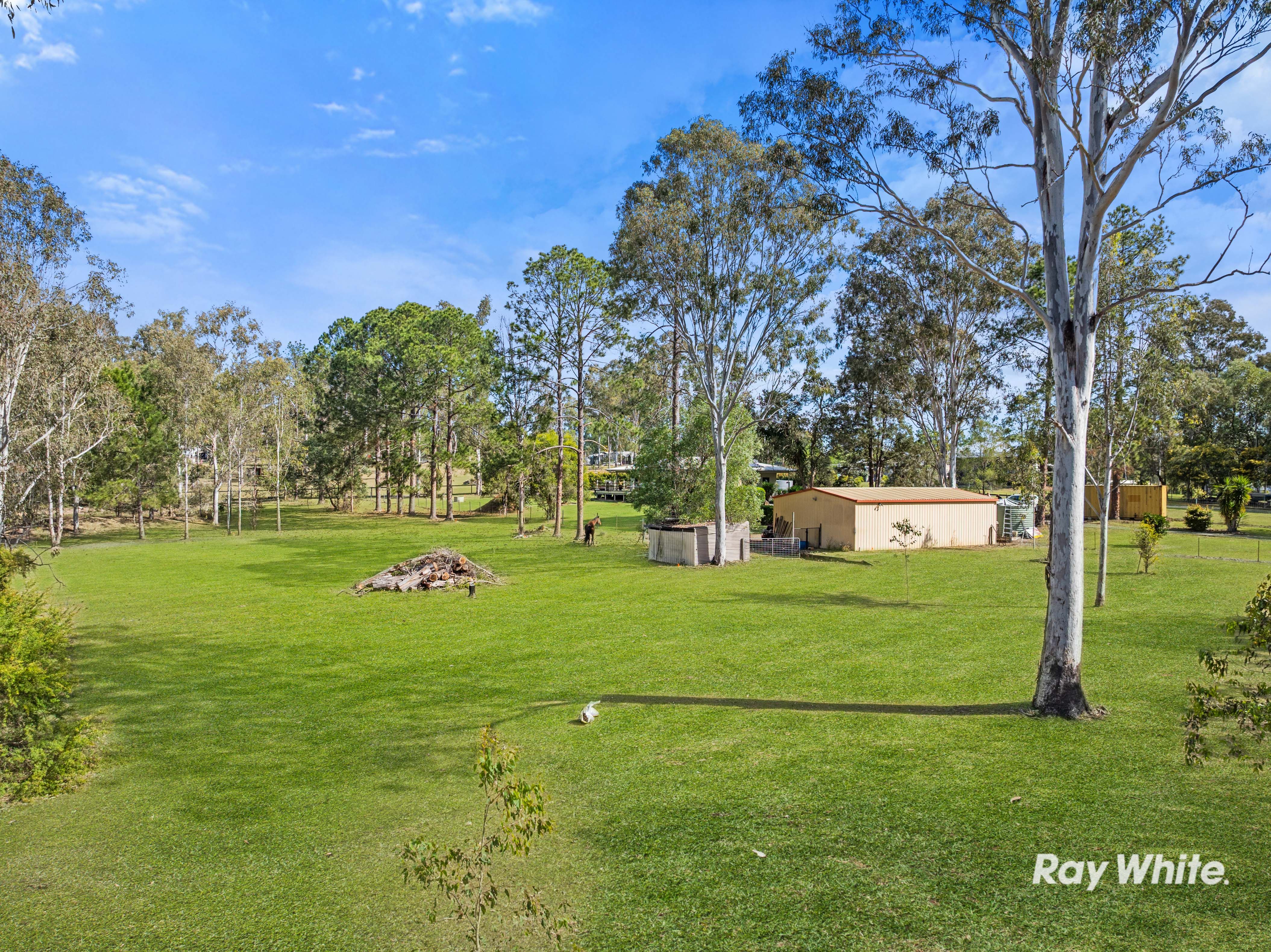 2051 Beaudesert - Beenleigh Road — photo 21 of 26