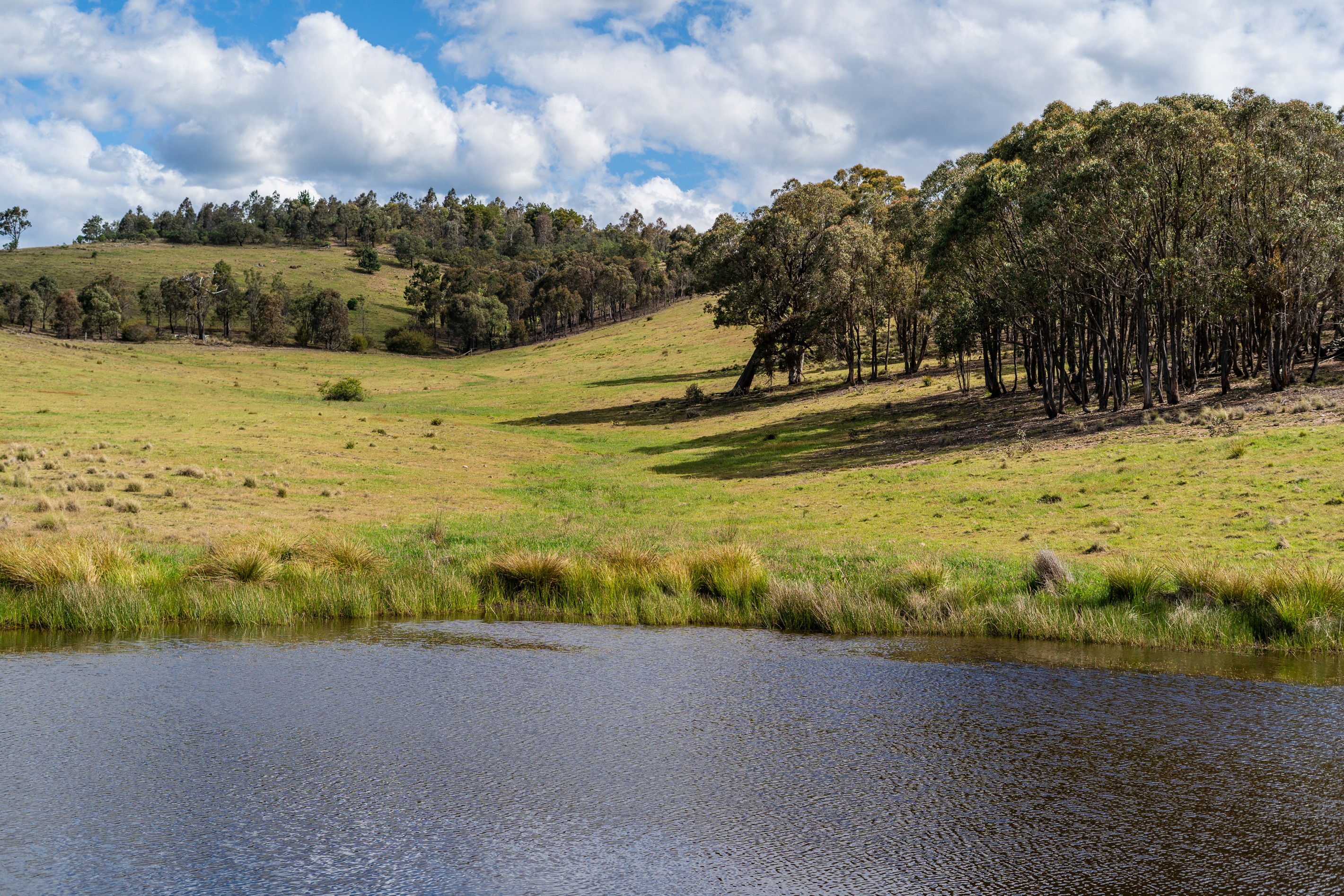 Lot 2 838 Murrumbateman Road, NANIMA, NSW 2582