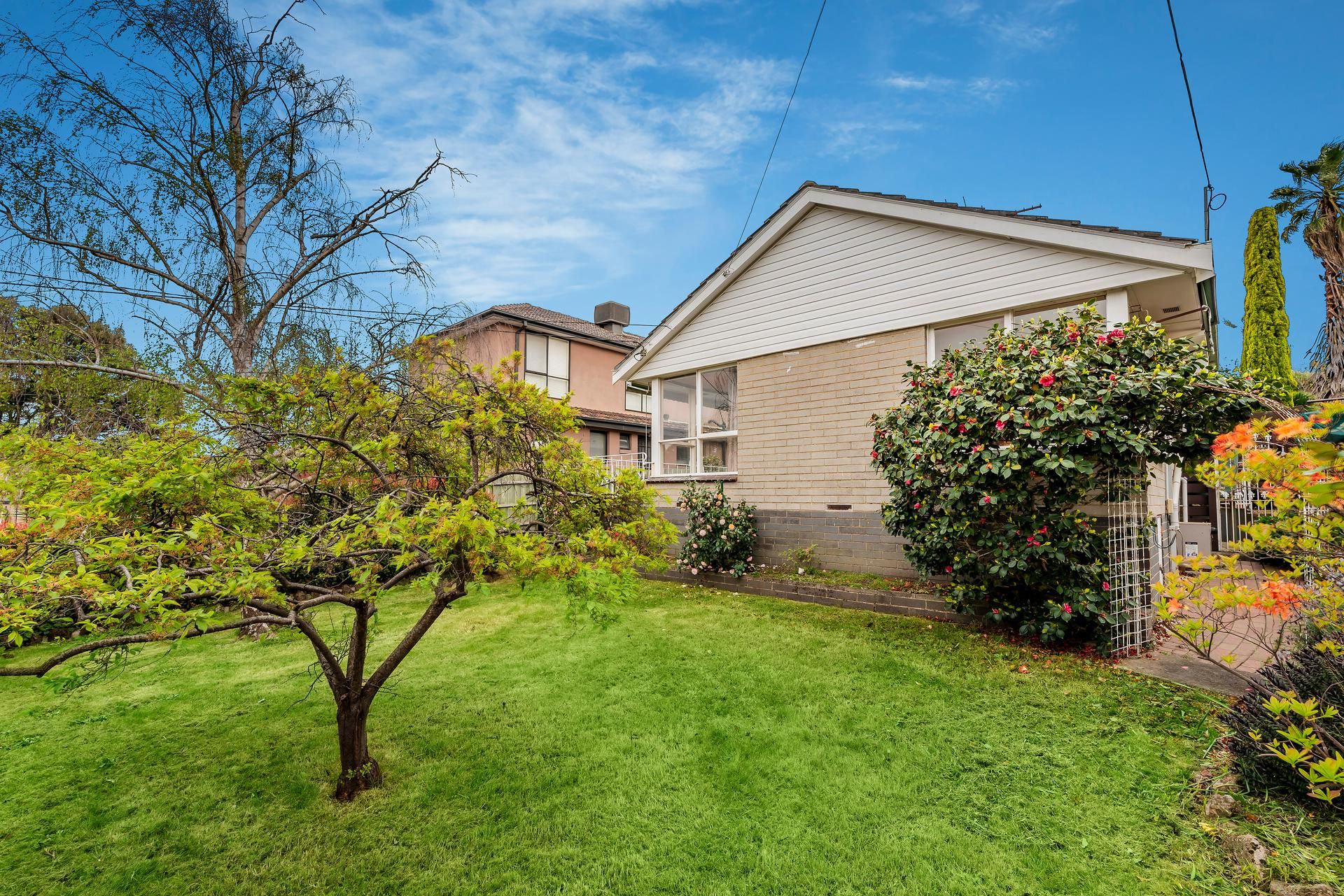 3 Cypress Avenue, Burwood, VIC 3125