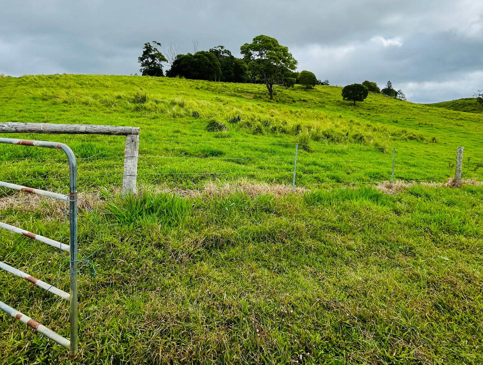 1297 Mossman - Mt Molloy Road, Julatten, QLD 4871