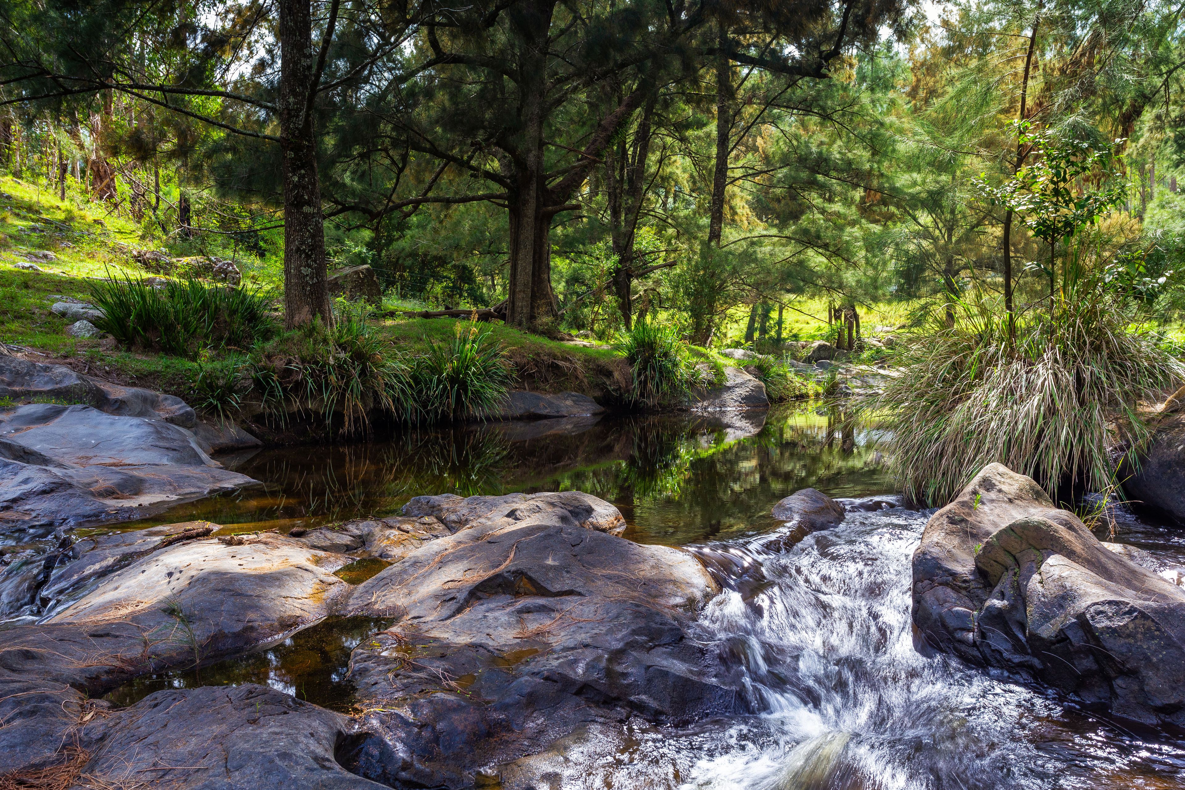 Lot 19 Nowendoc Road, Cooplacurripa, NSW 2424