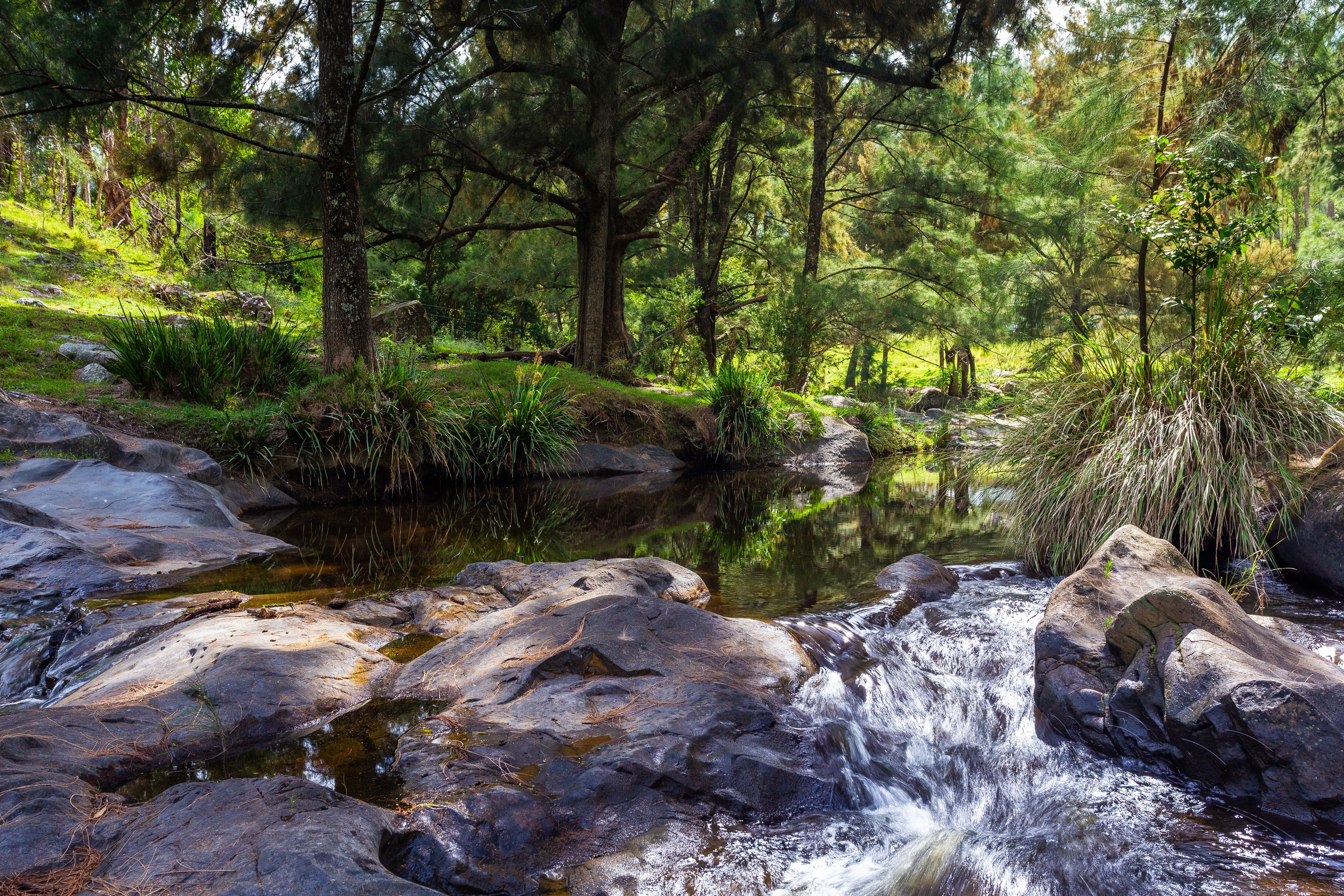 Lot 19 Nowendoc Road, Cooplacurripa, NSW 2424