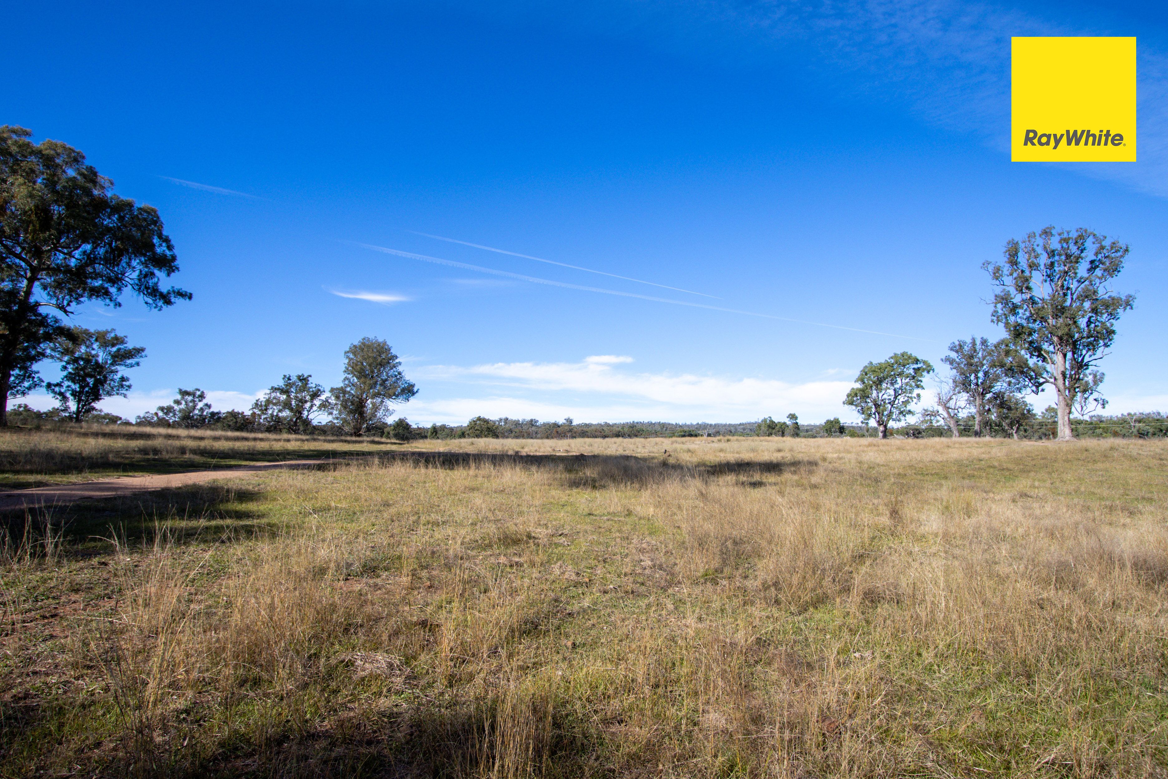 559 Rifle Range Road, Inverell, NSW 2360 Rural Property for Sale