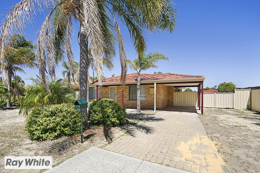 17 Salmongum Grove, Beechboro, WA 6063