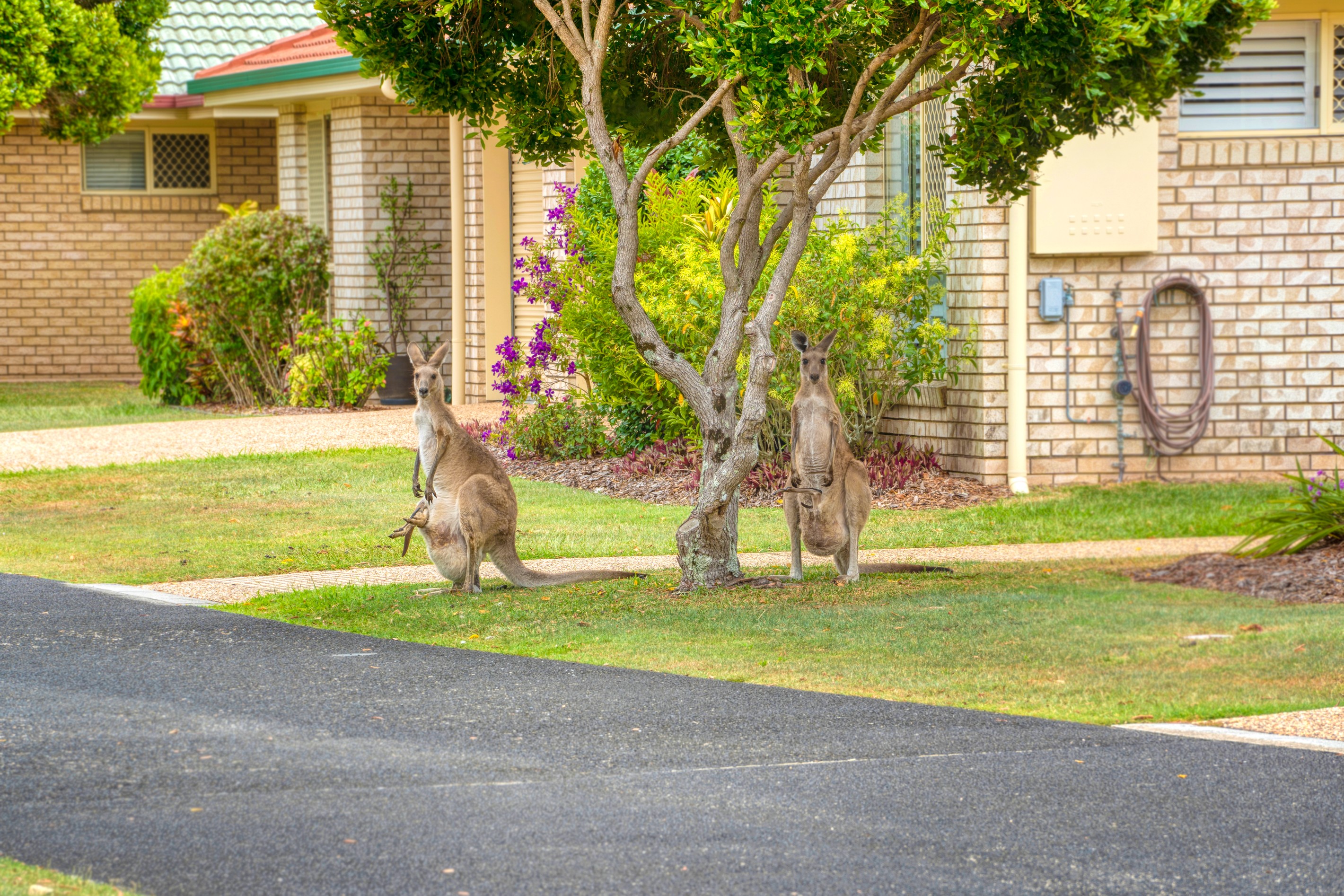 19/210 Bestmann Road East, Sandstone Point, QLD 4511