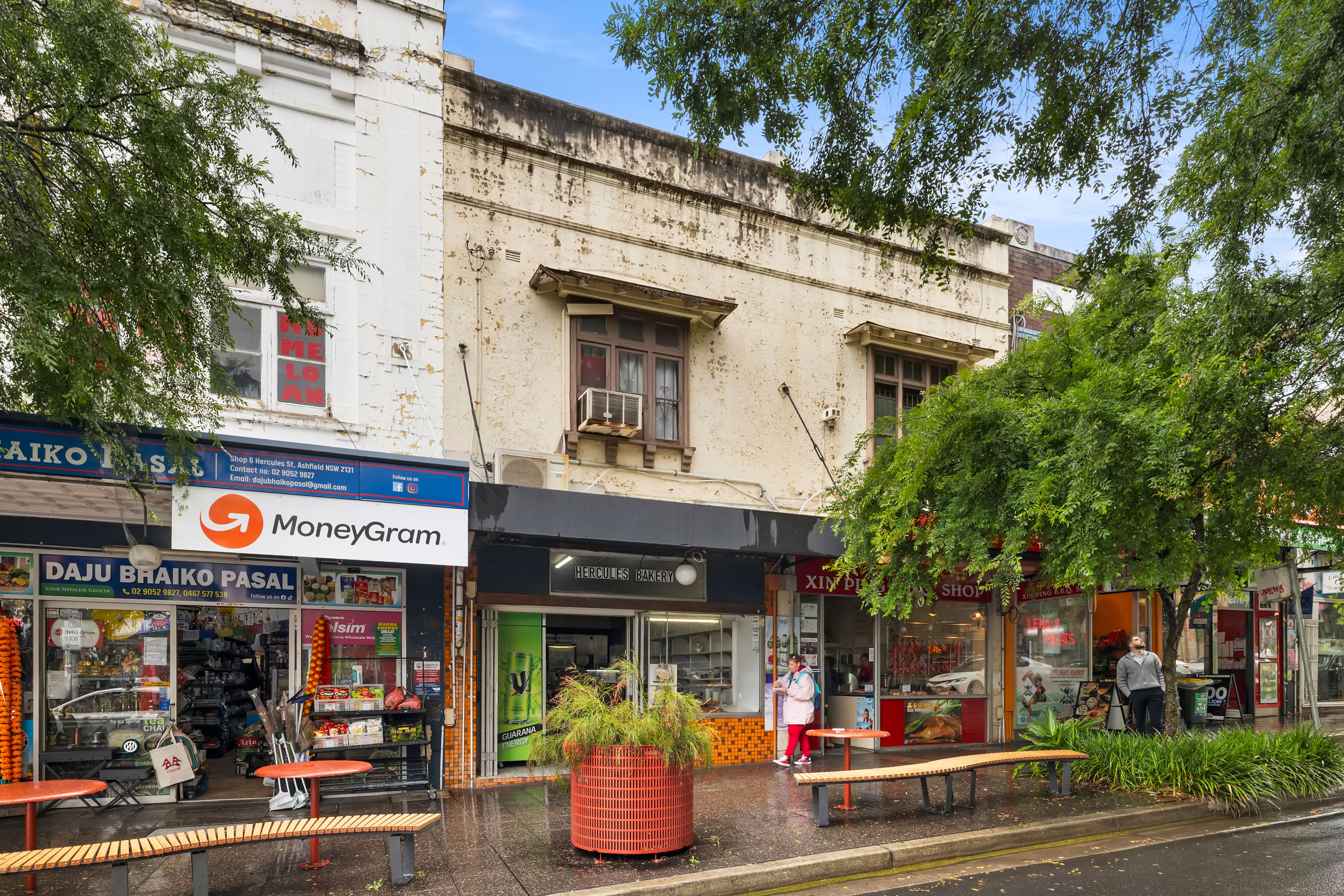 8 Hercules Street, Ashfield, NSW 2131