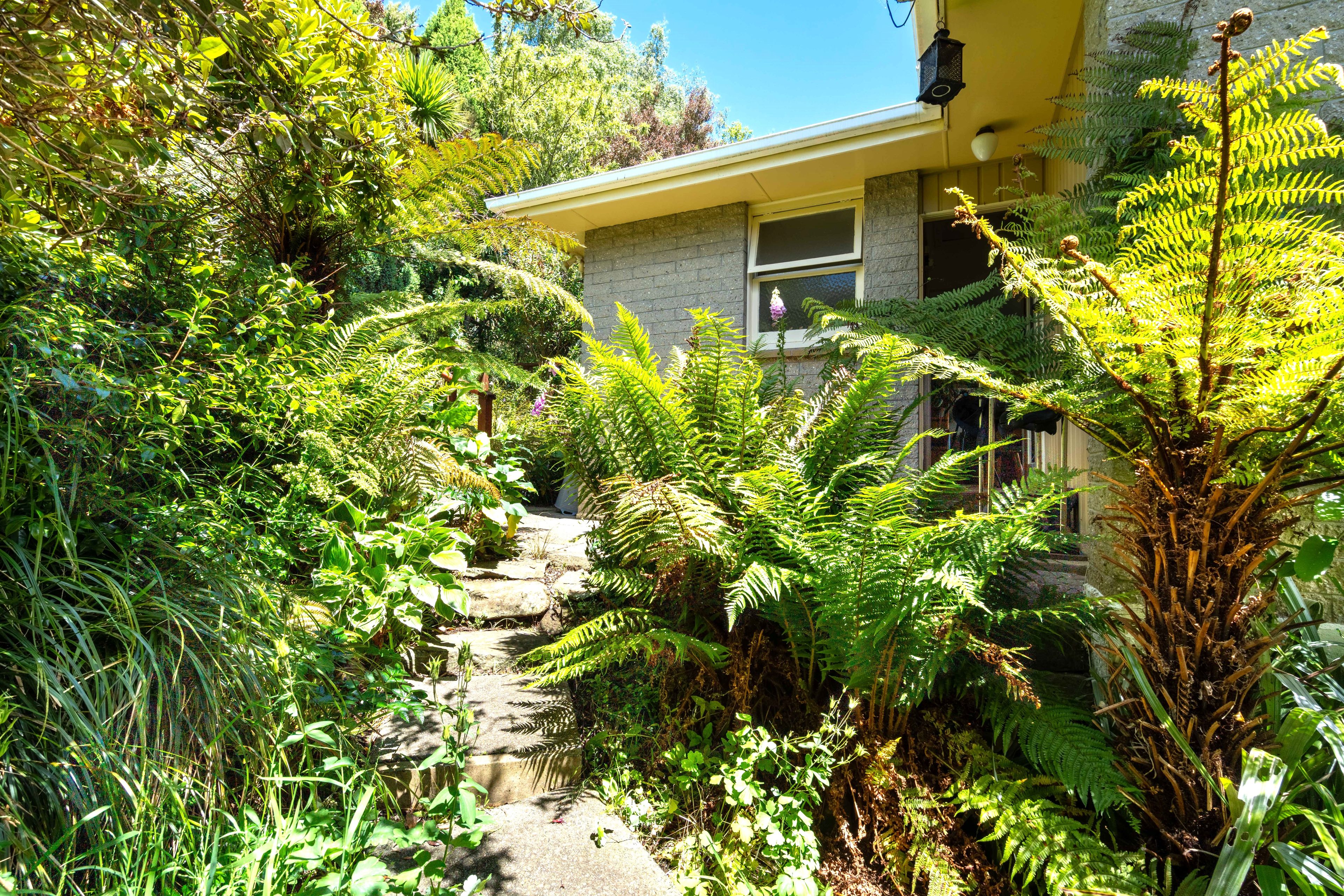 177 Evans Street, Opoho, Dunedin City