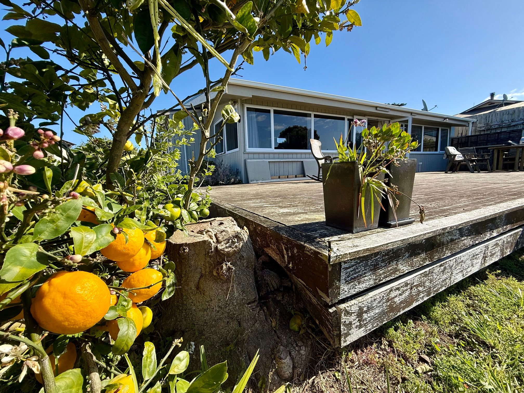 Raglan, Waikato District 3225 - House for Rent - Ray White Raglan
