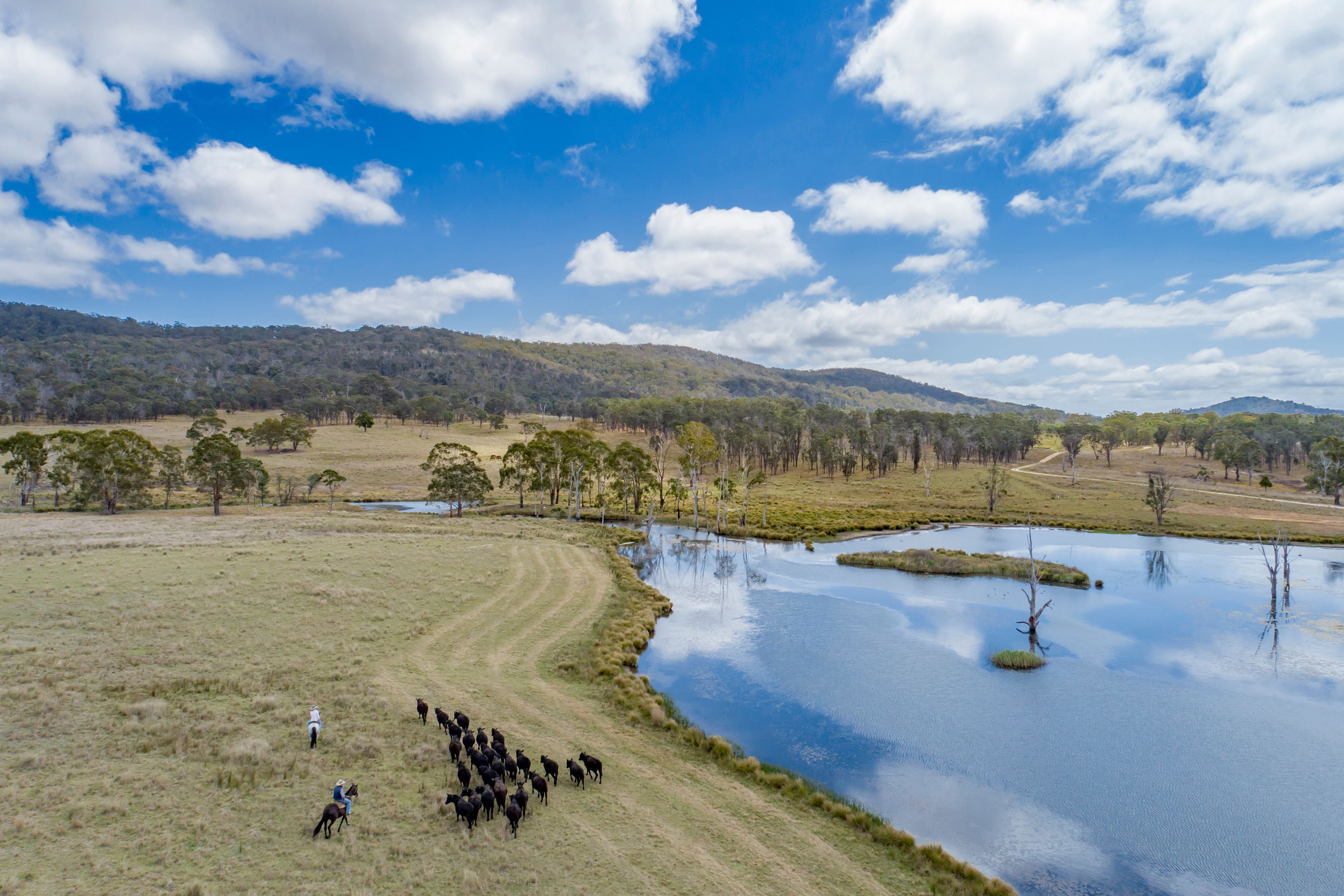 "ROCKLANDS" 2792 Old Stanthorpe Road, Dalveen, QLD 4374 Sold Rural