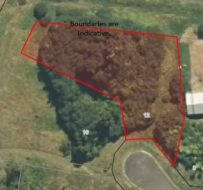 12 Charles Douglas Drive, Franz Josef, Westland District