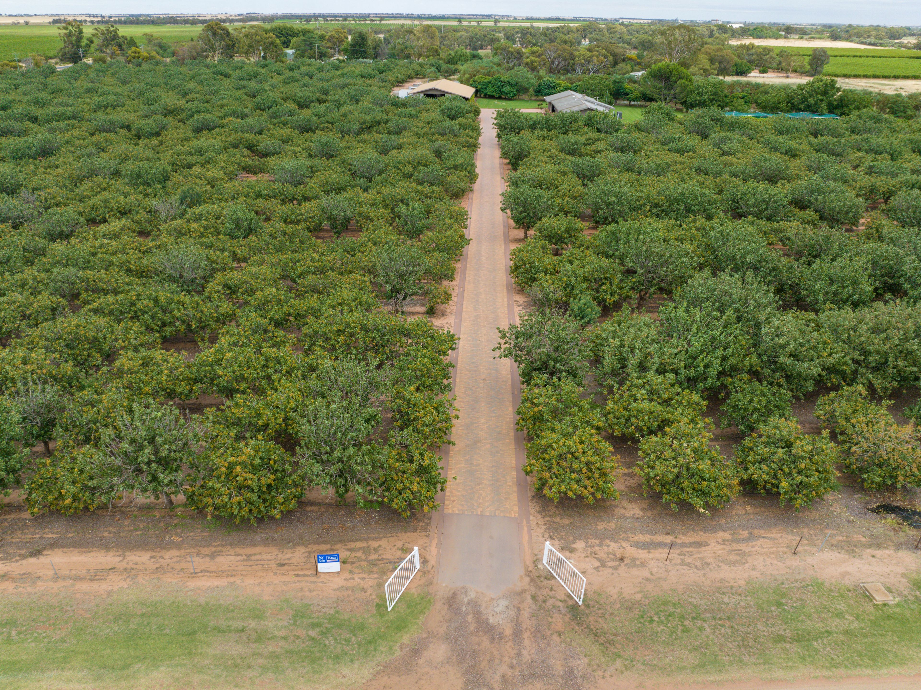 23 Willox Road, Swan Hill, VIC 3585