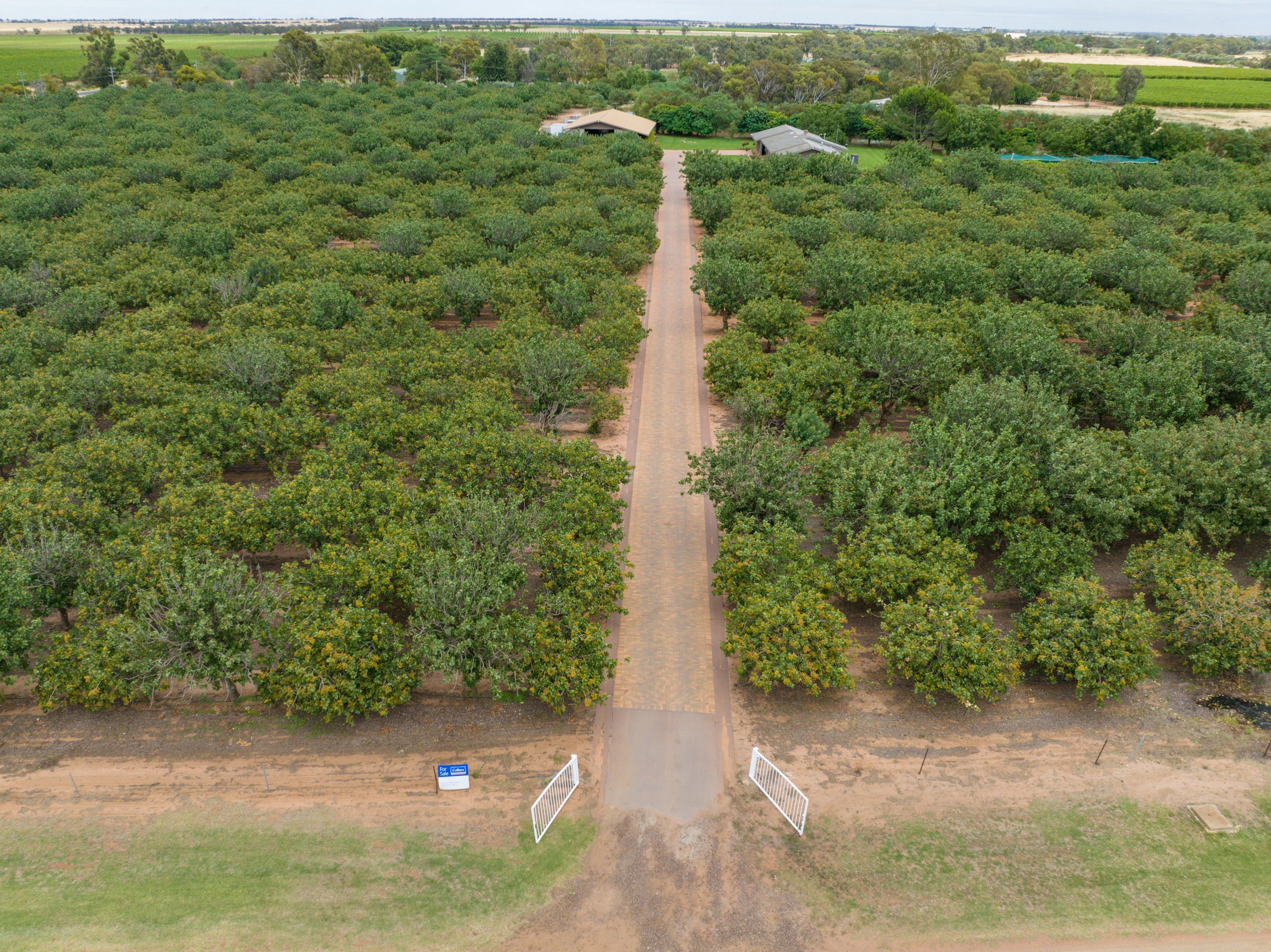 23 Willox Road, Swan Hill, VIC 3585