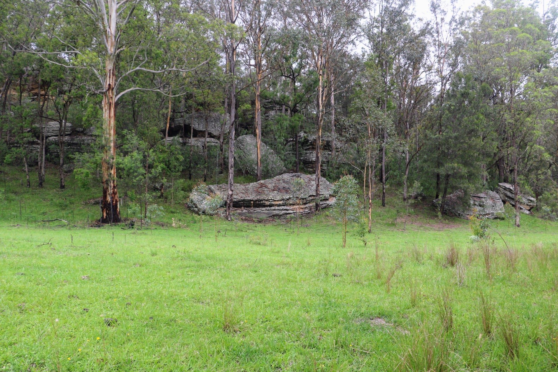 Lot 314 1341A Putty Valley Road, Putty, NSW 2330