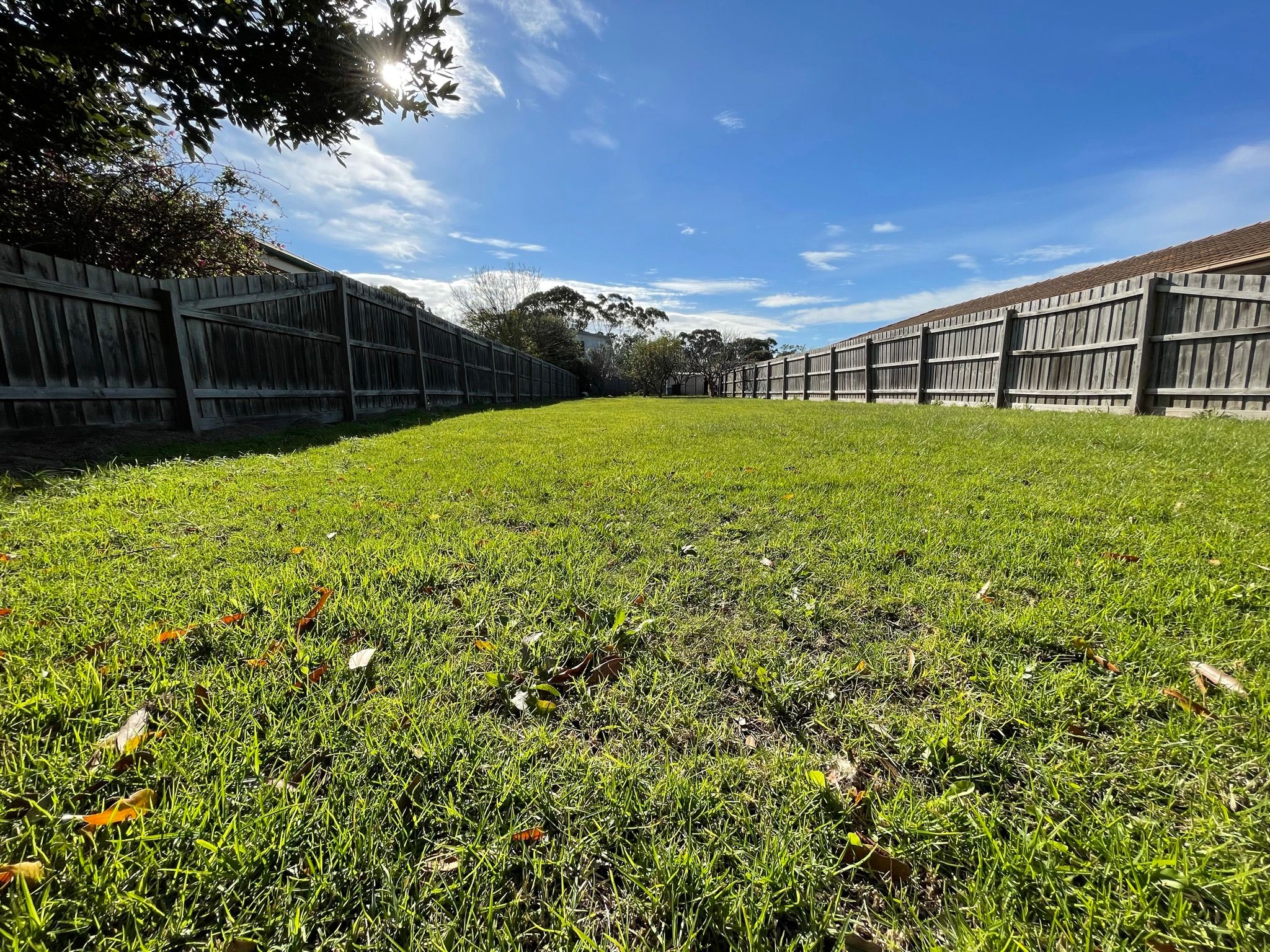 27 Balmoral Avenue — photo 10 of 23