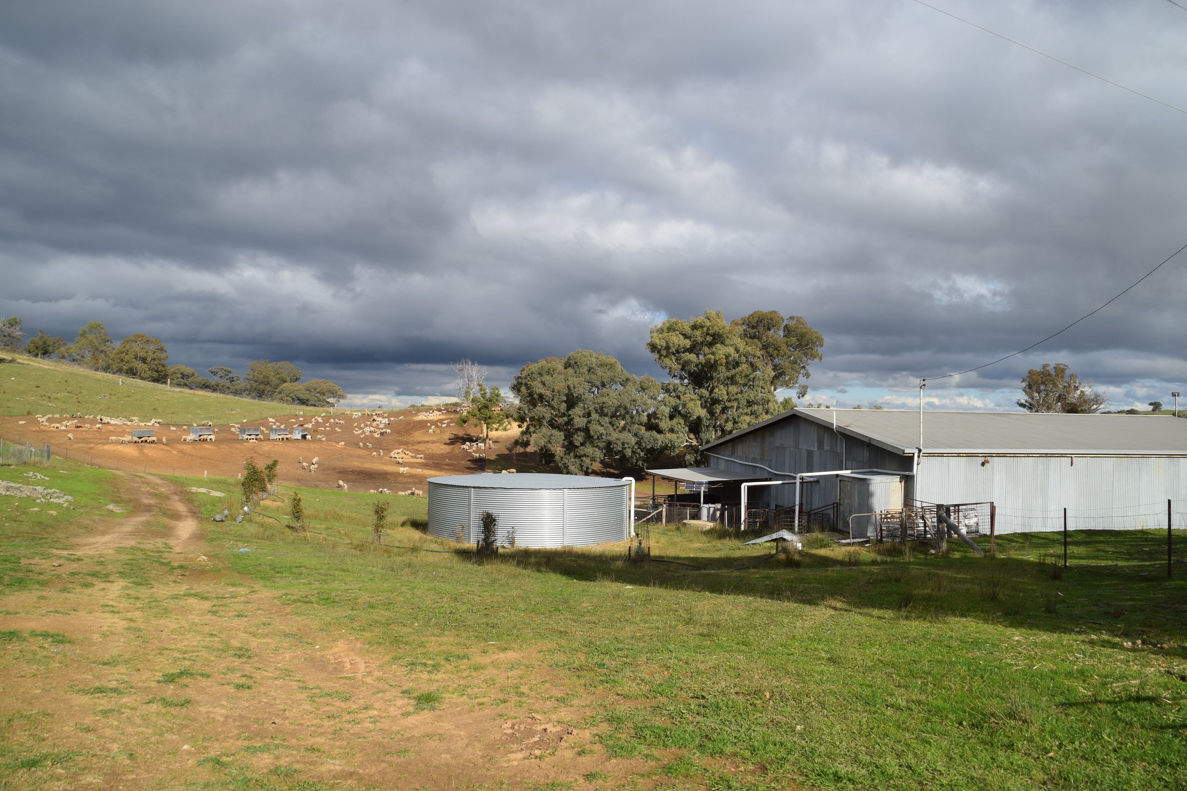 'Morella' 1257 Bundalah Road — photo 16 of 29
