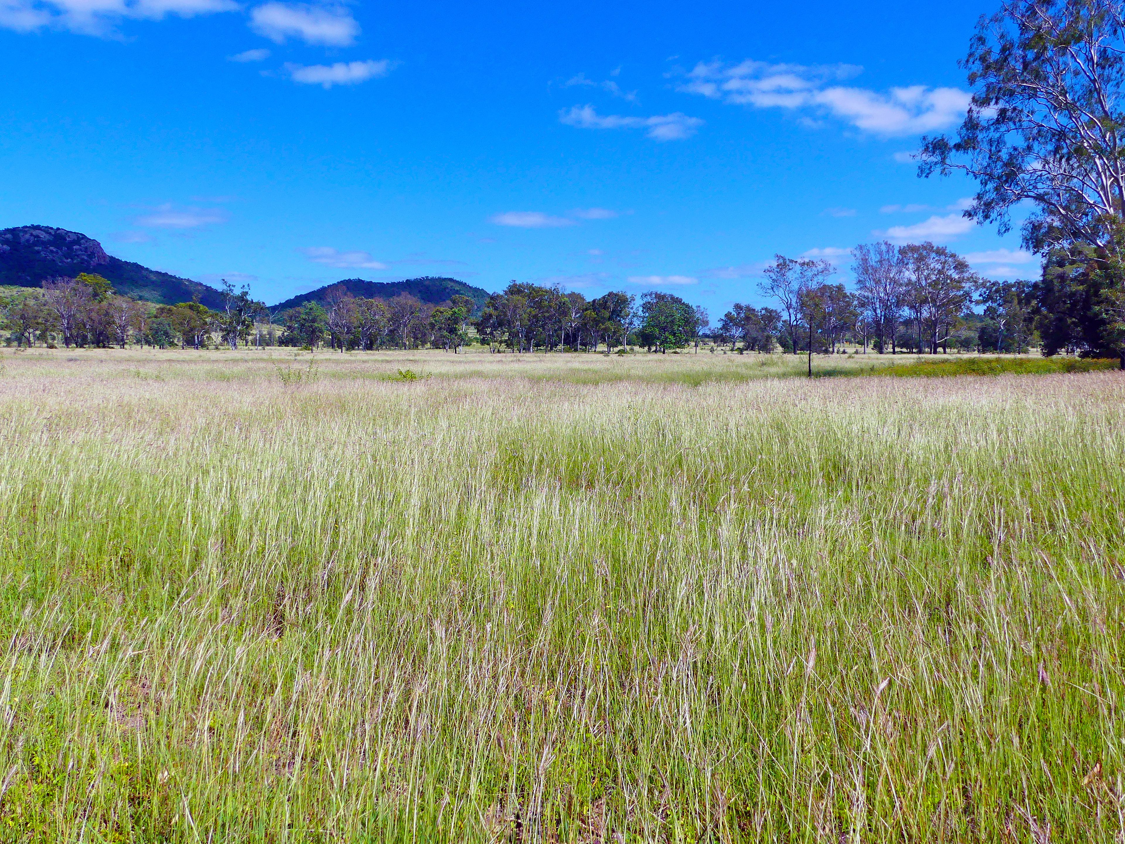 0 Cunningham Road,, Nine Mile, QLD 4702