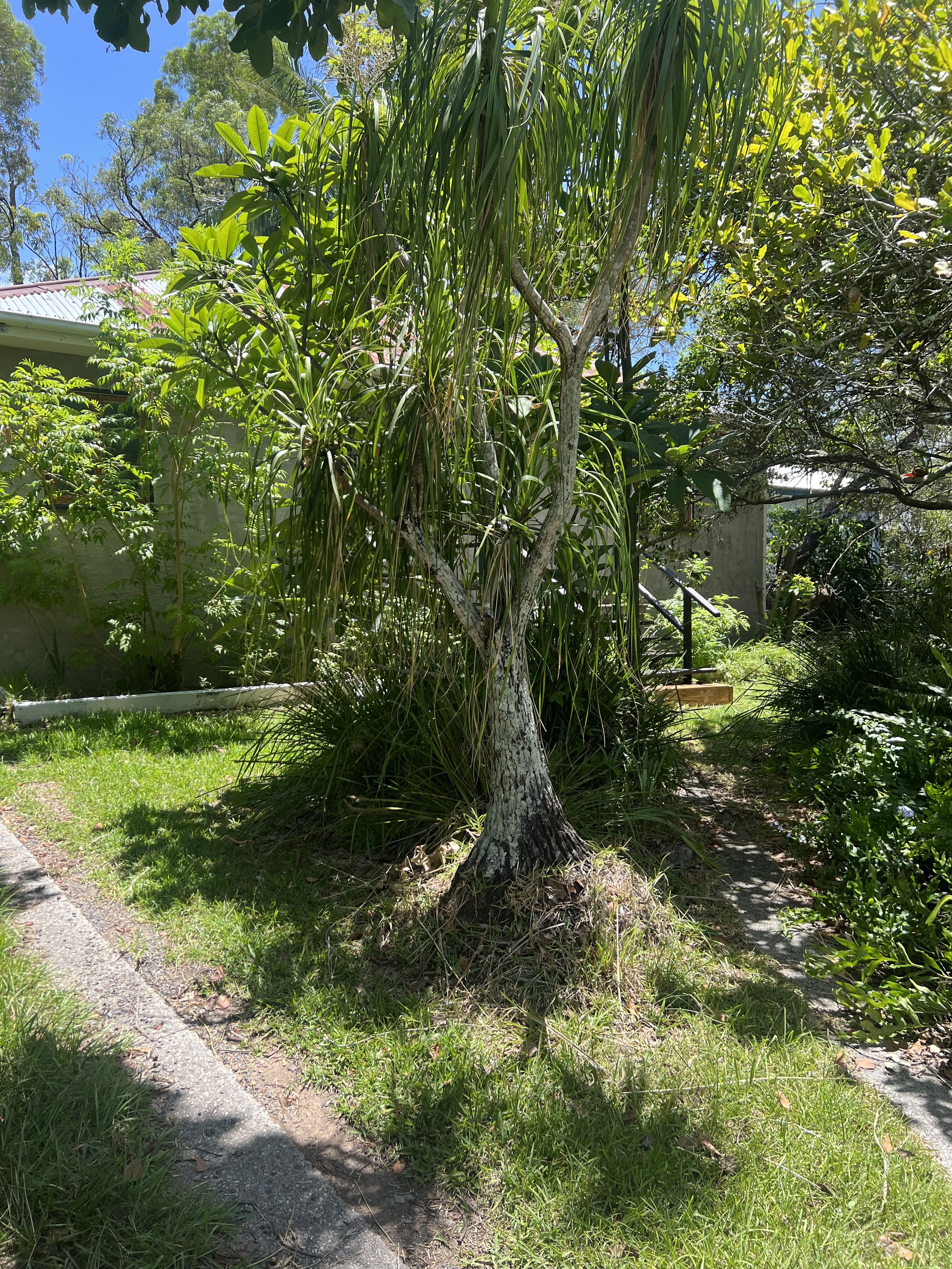 116 Railway Parade, Woodridge, QLD 4114