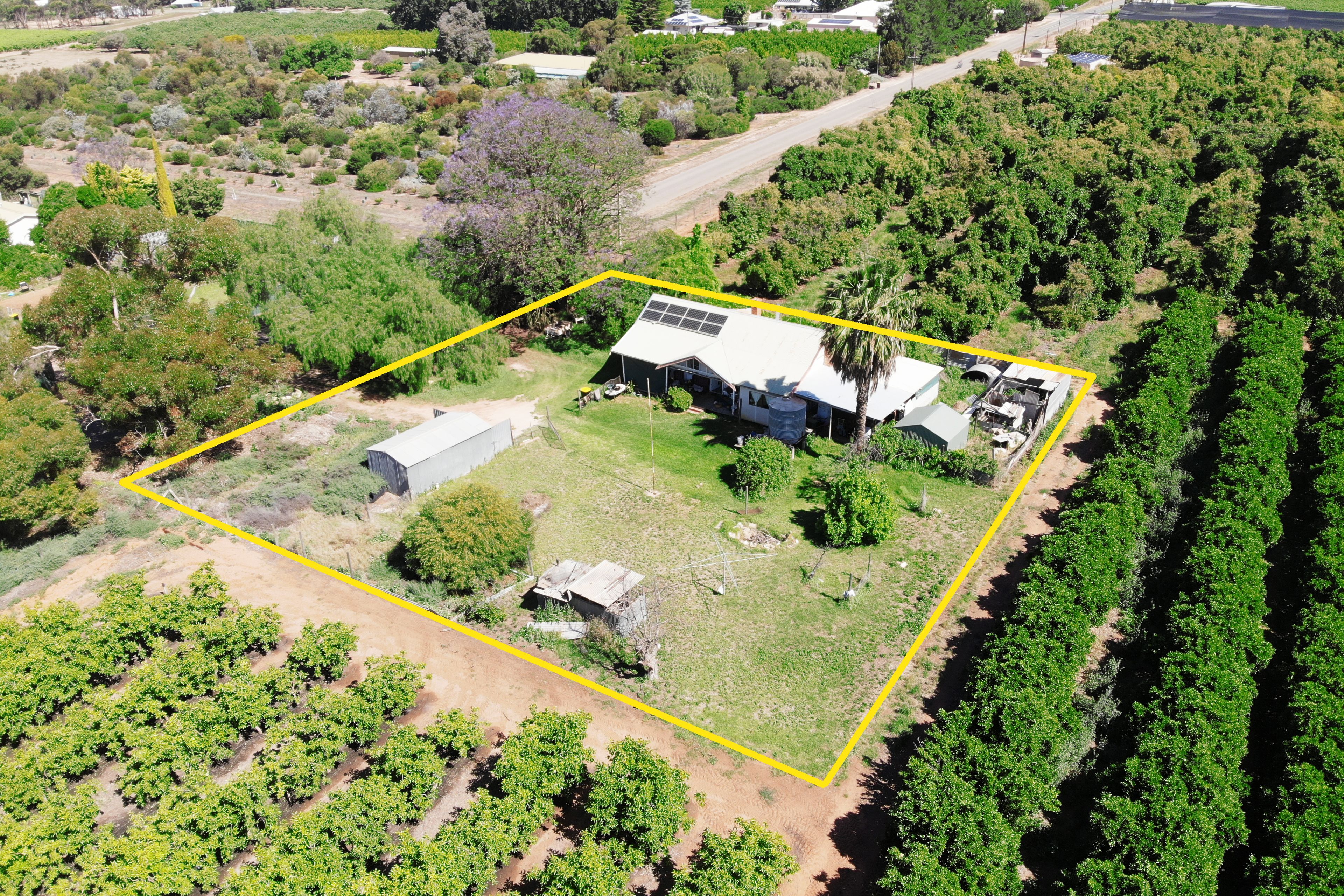 64 Tarcoola Street, Renmark, SA 5341