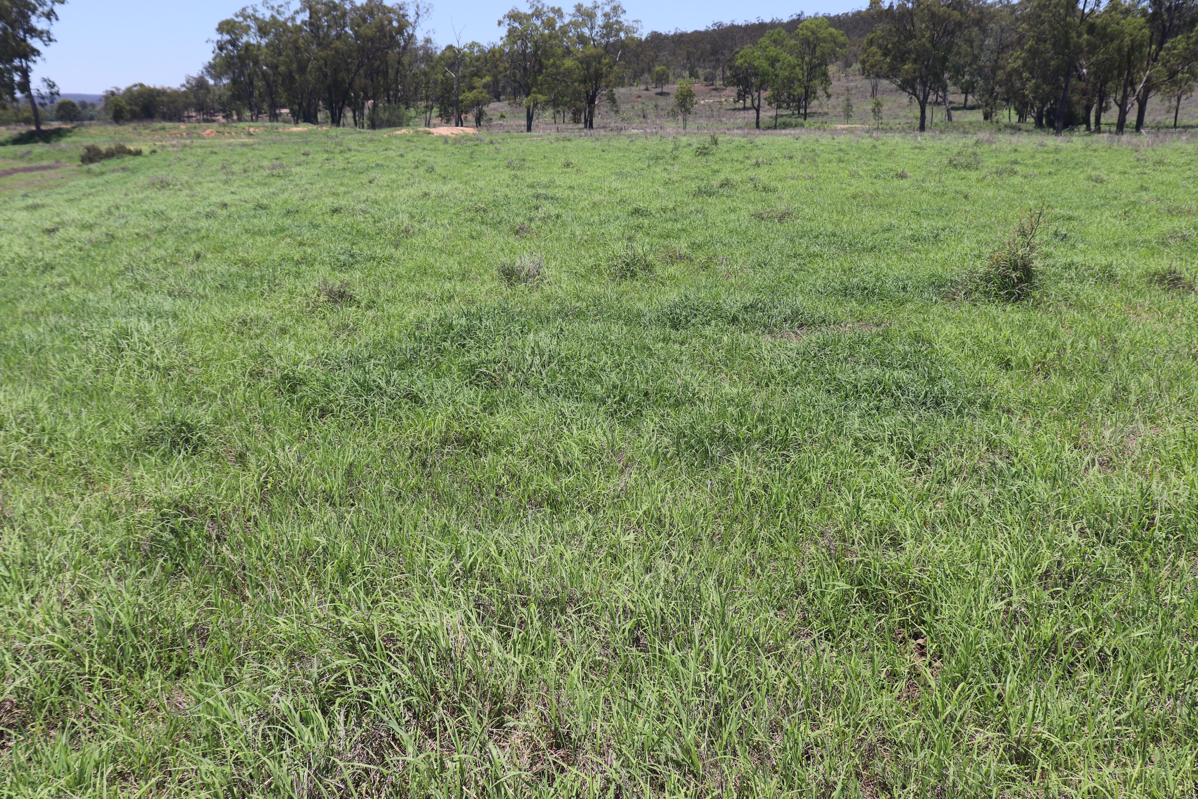 26040 Highway, Eidsvold, QLD 4627 Rural Mixed Farming