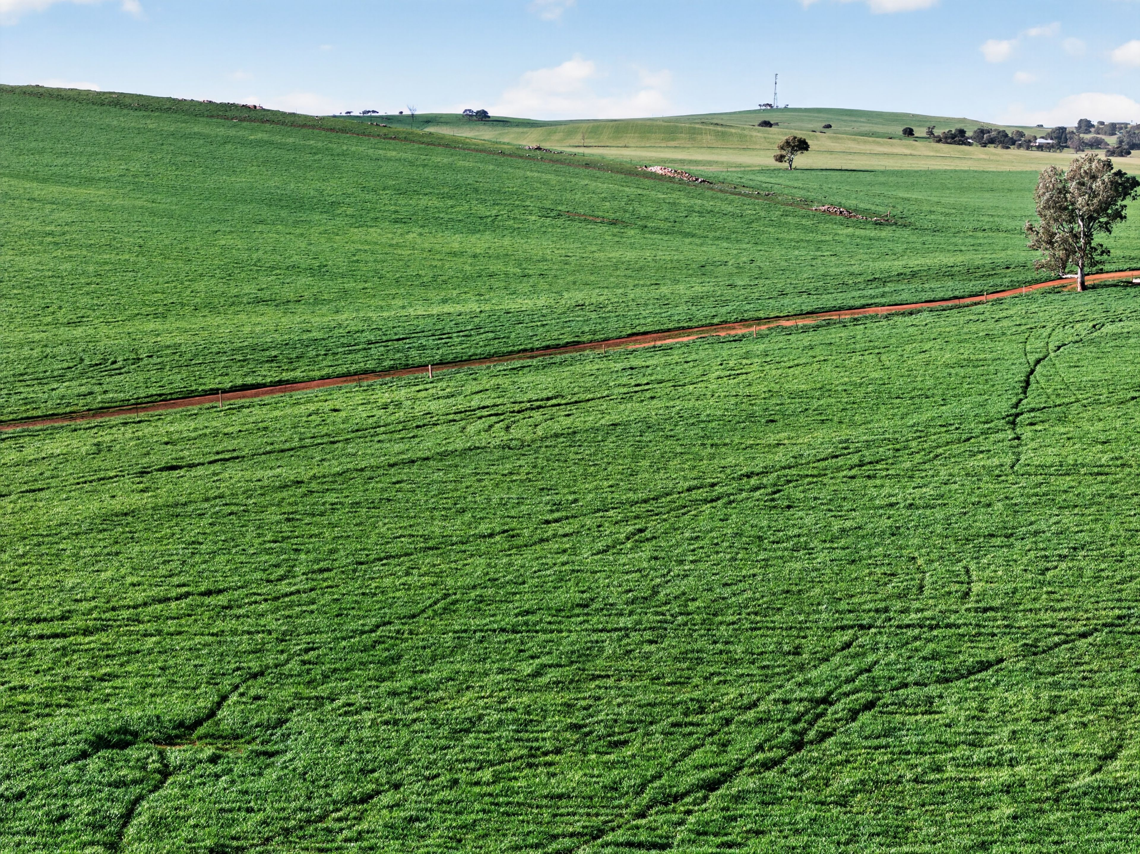 'Eudunda Hill' Thiele Highway — photo 20 of 30