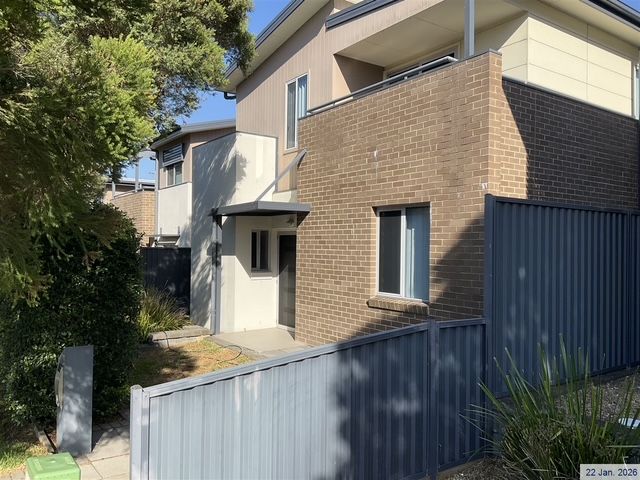 60 Lumsden Avenue — photo from Ray White United Group - Glenwood