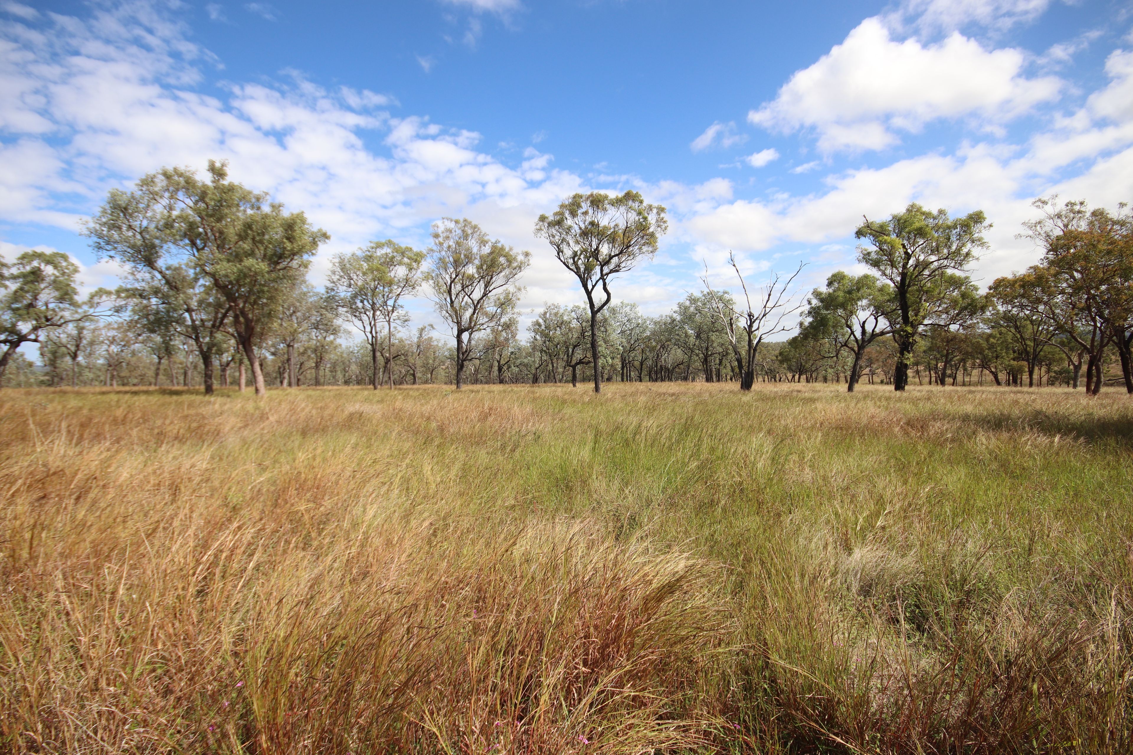 Lot 33 Eidsvold Theodore Road, Eidsvold, QLD 4627 Rural Property for