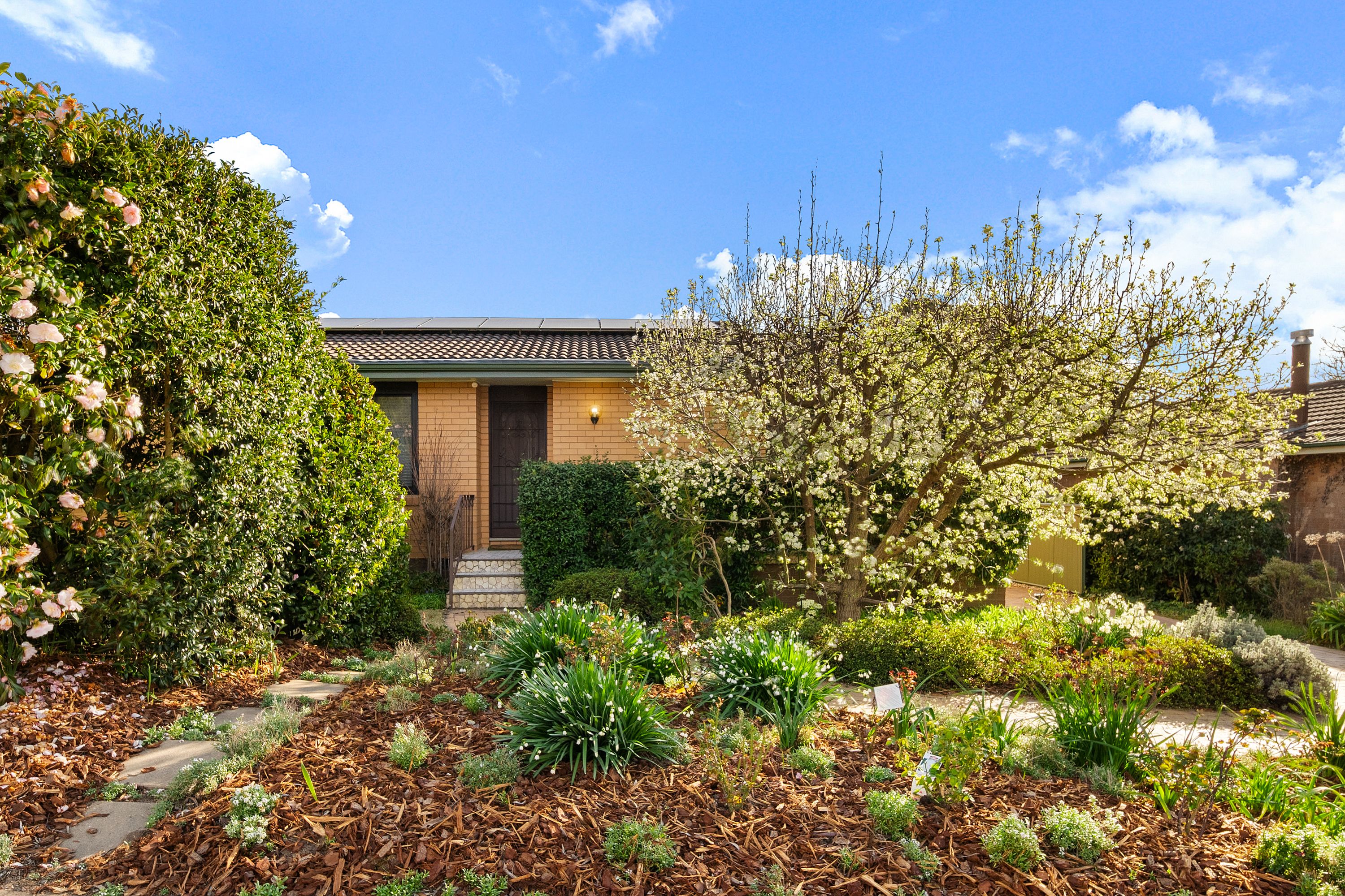 28 Mackellar Crescent, Cook, ACT 2614
